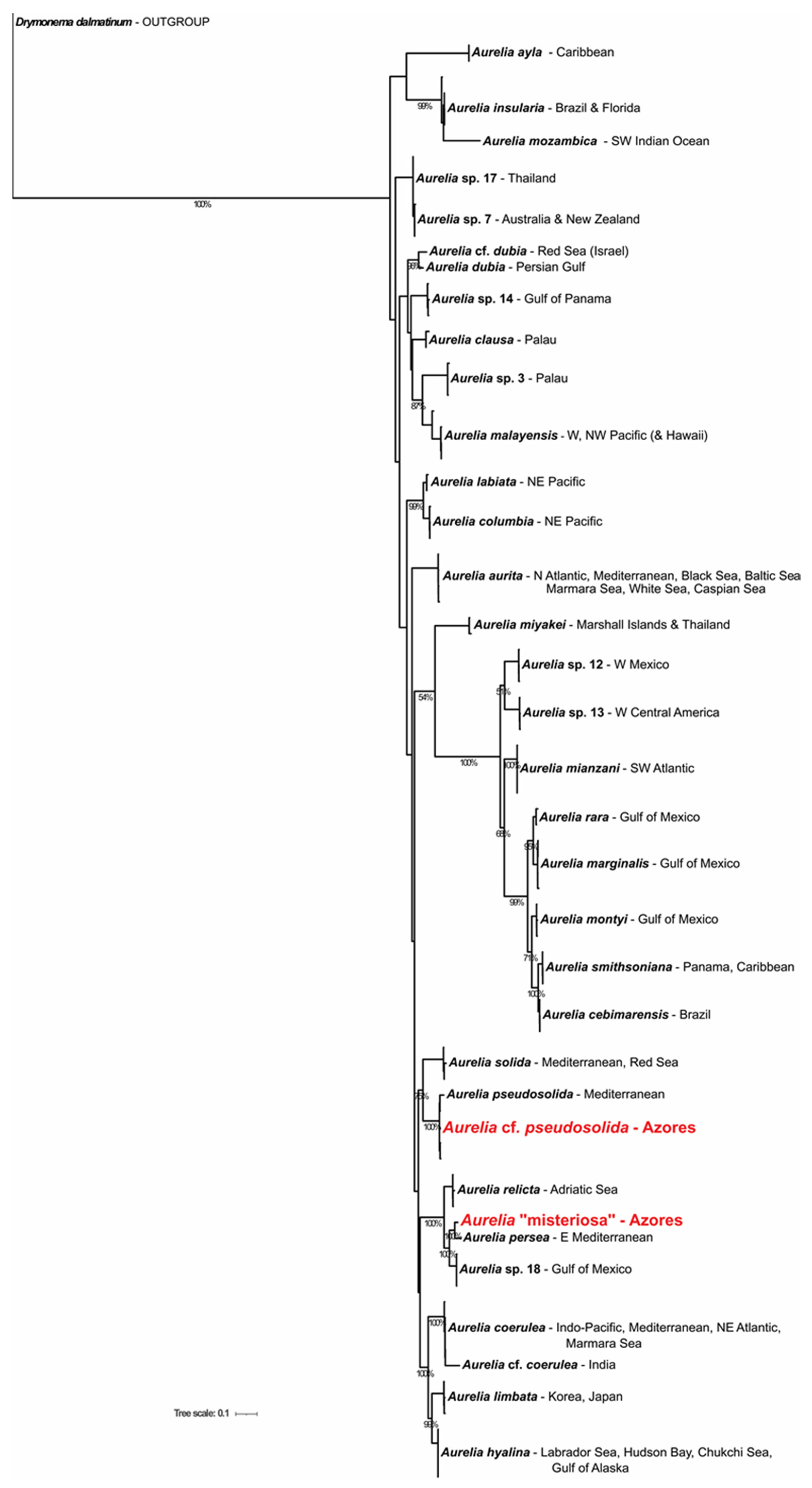 Diversity 15 00323 g002