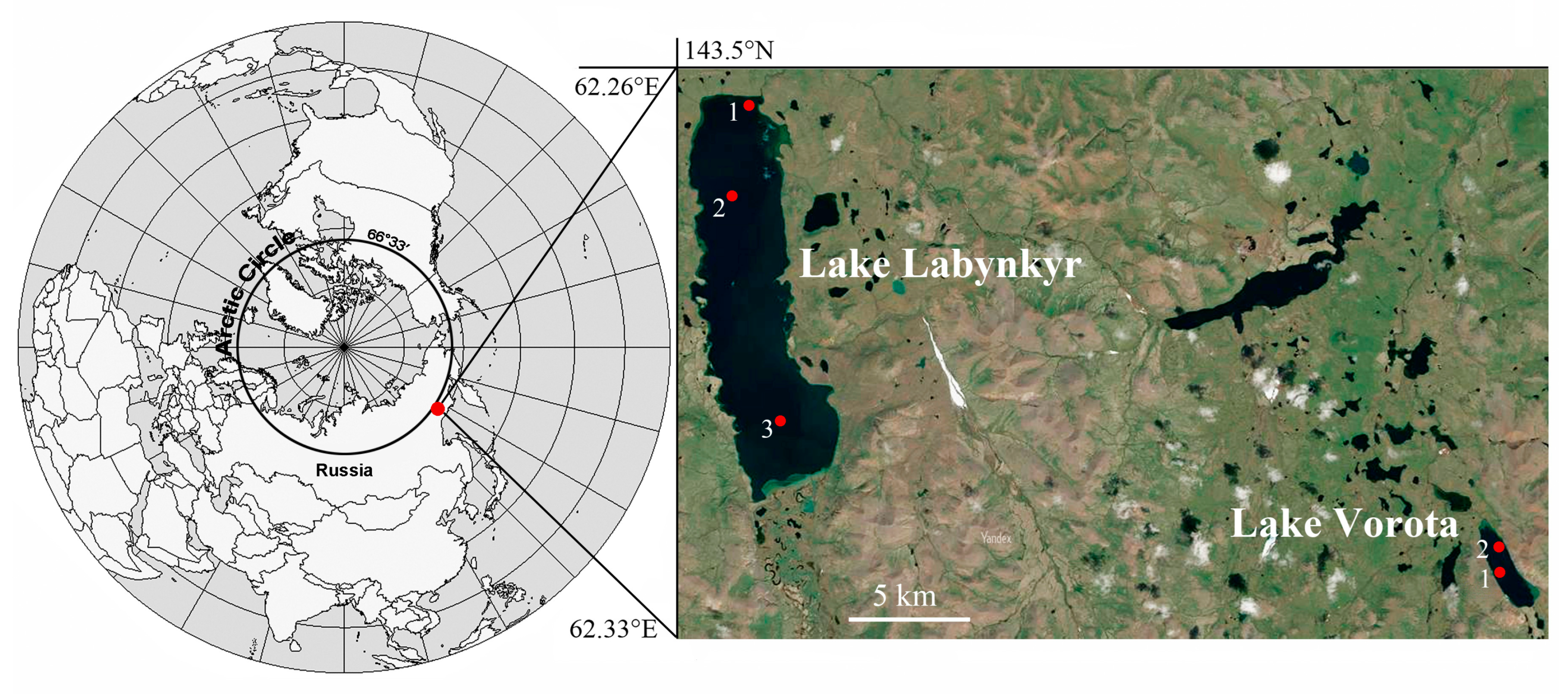 Diversity 15 00326 g001 Diversity 15 00326 g001