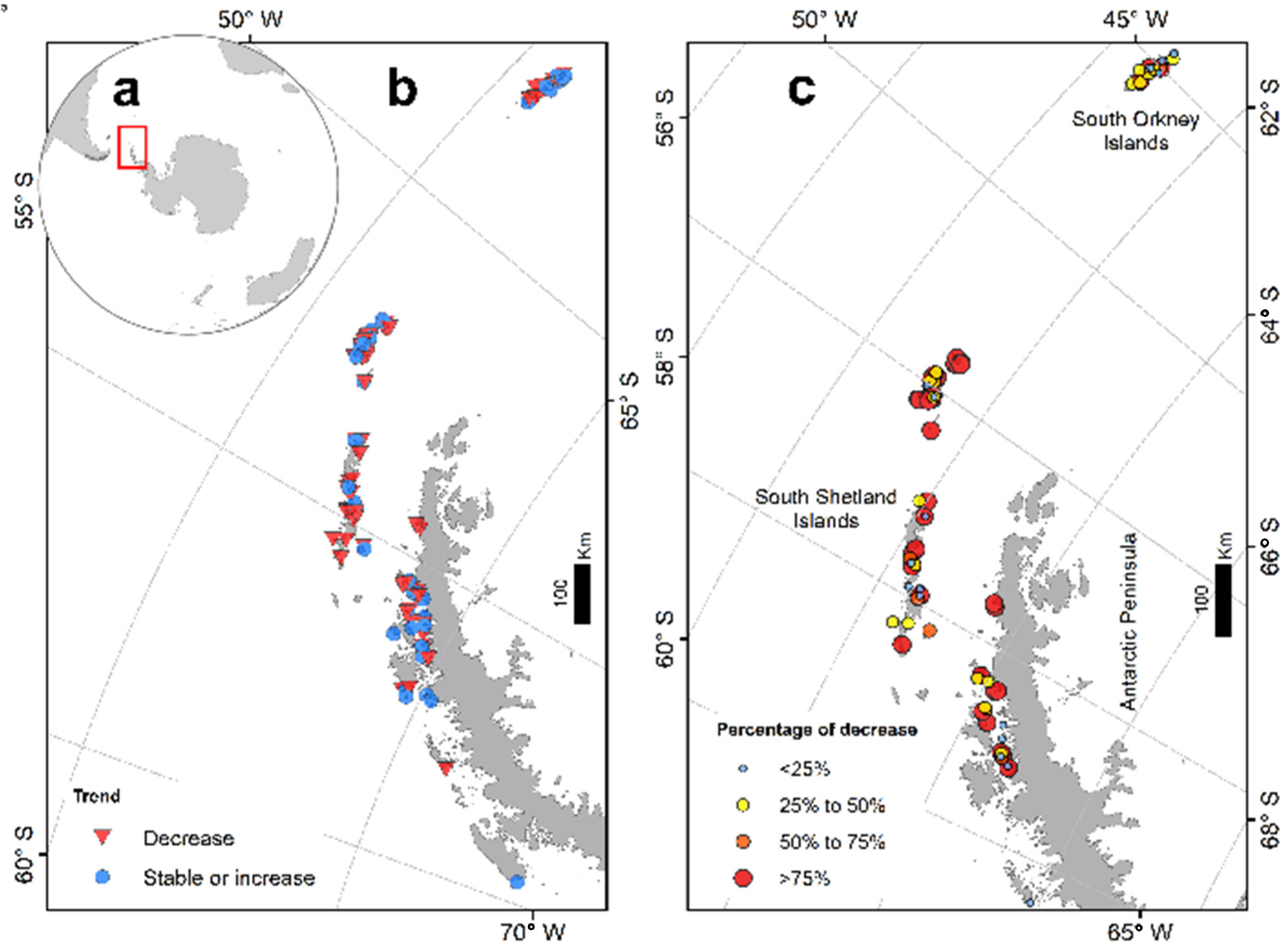 Diversity Free FullText Decreasing Trends of Chinstrap Penguin