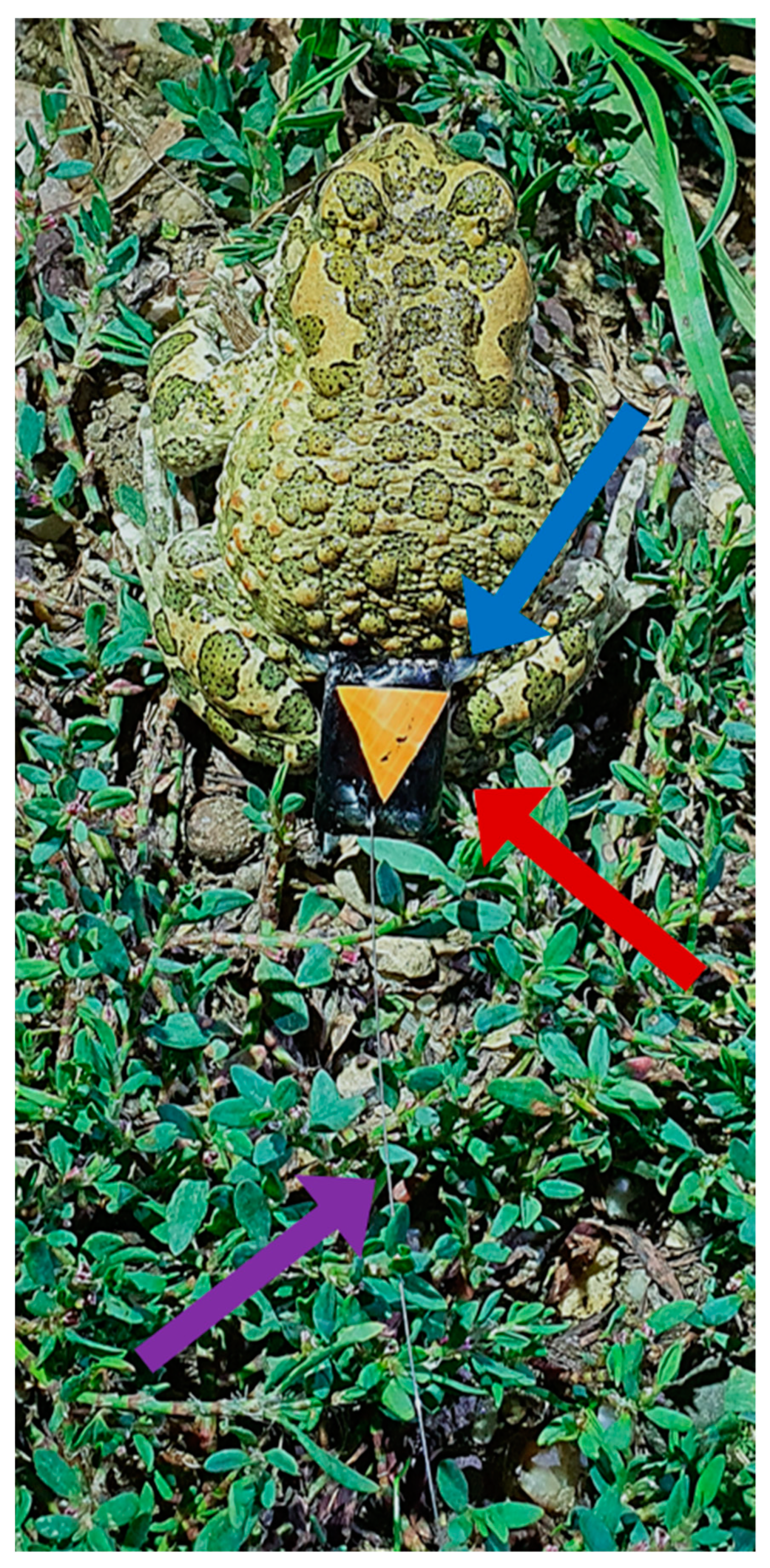 Diversity 15 00328 g001 Diversity 15 00328 g001