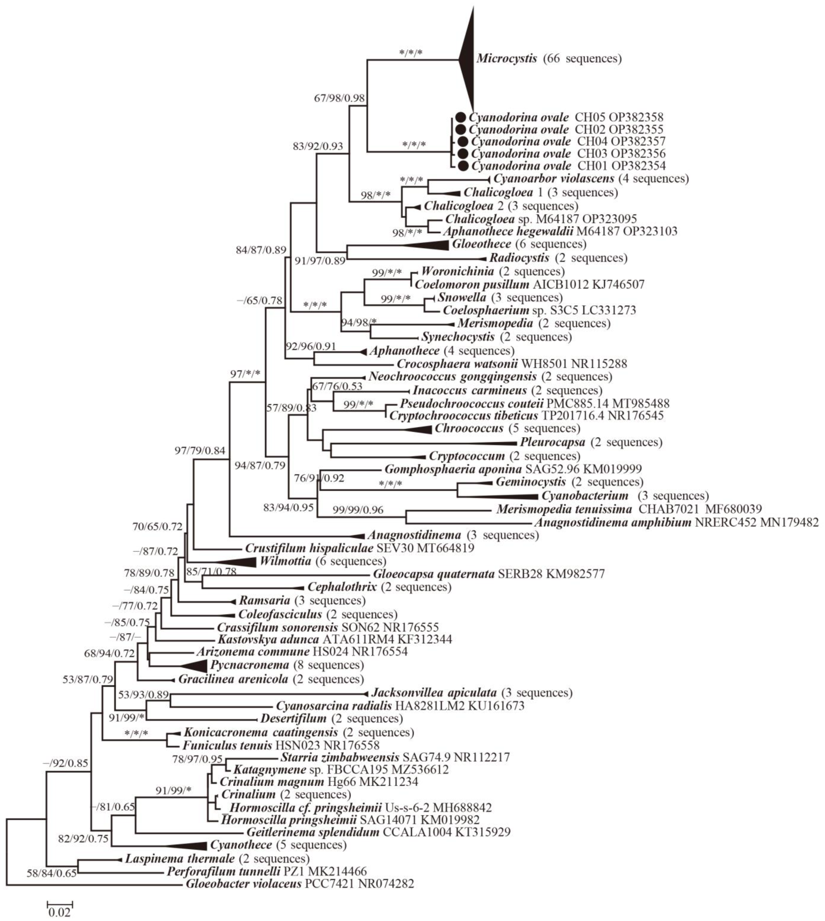 Diversity 15 00329 g003 Diversity 15 00329 g003