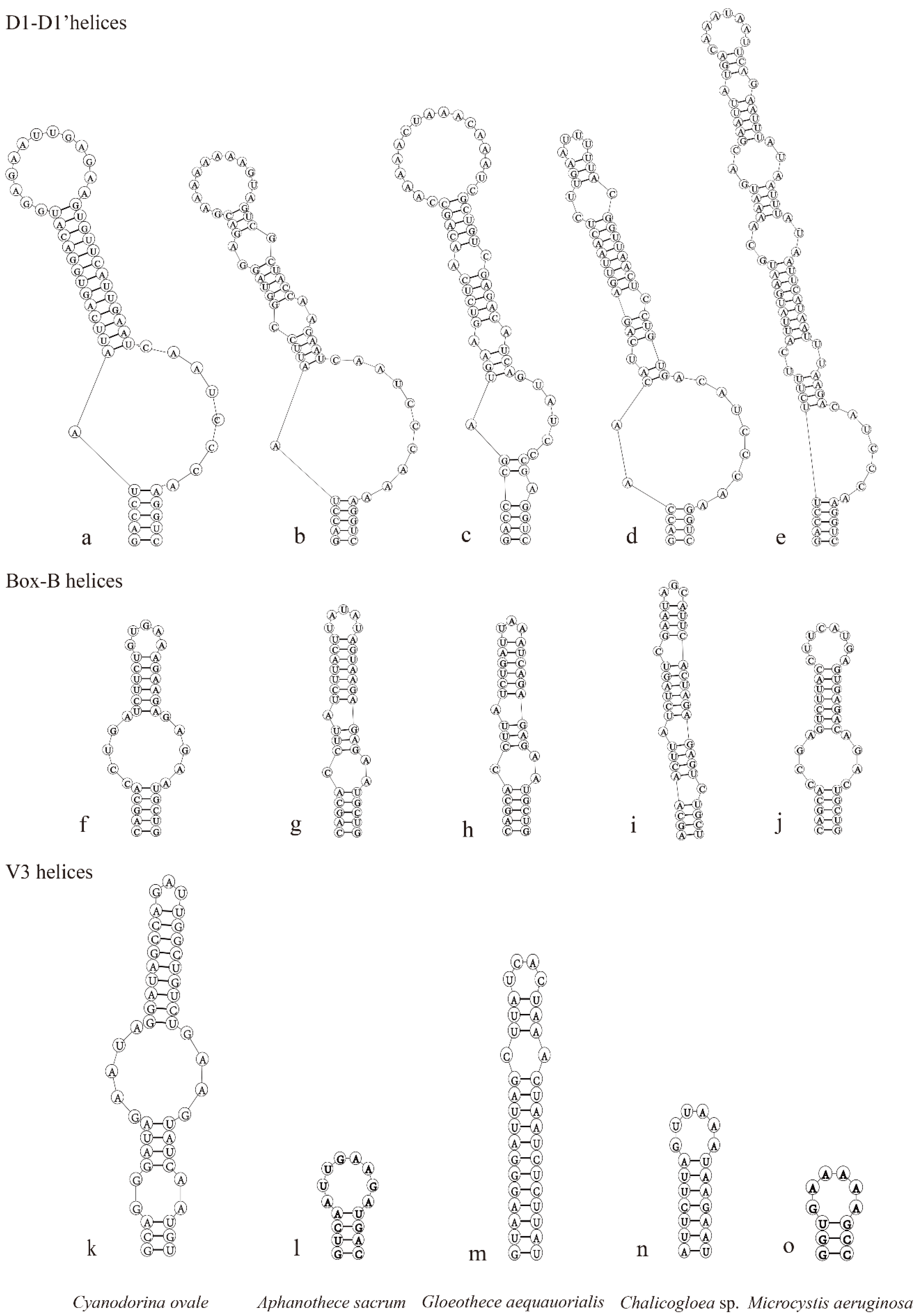 Diversity 15 00329 g004 Diversity 15 00329 g004