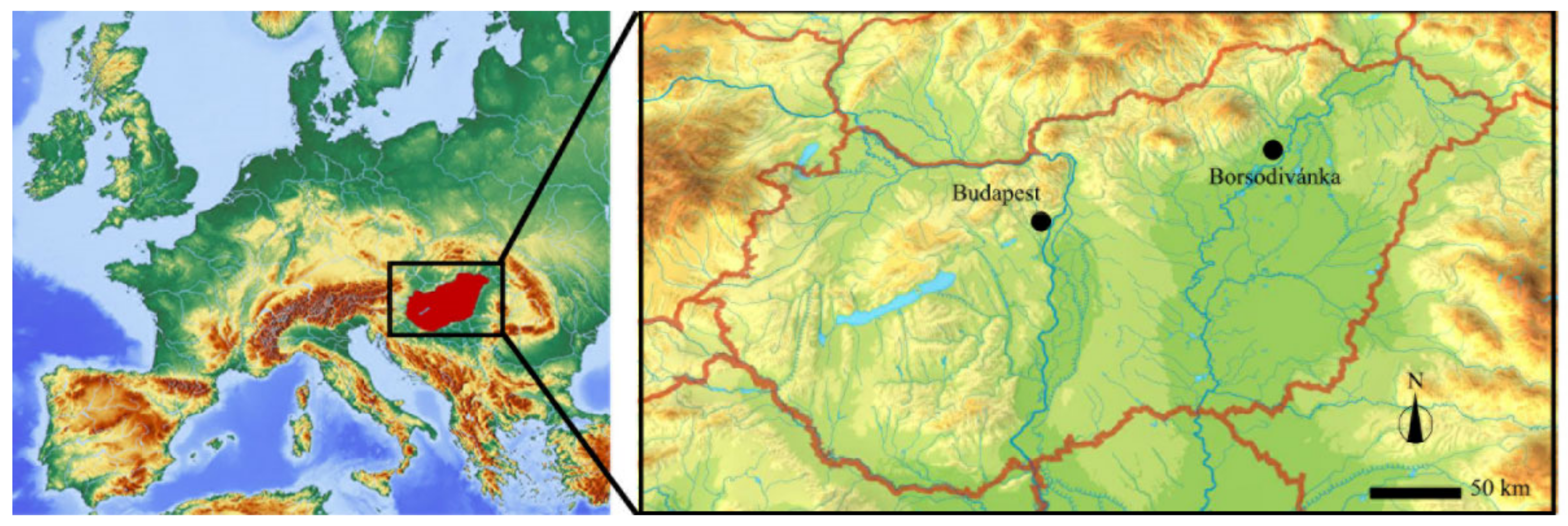 Diversity 15 00340 g001