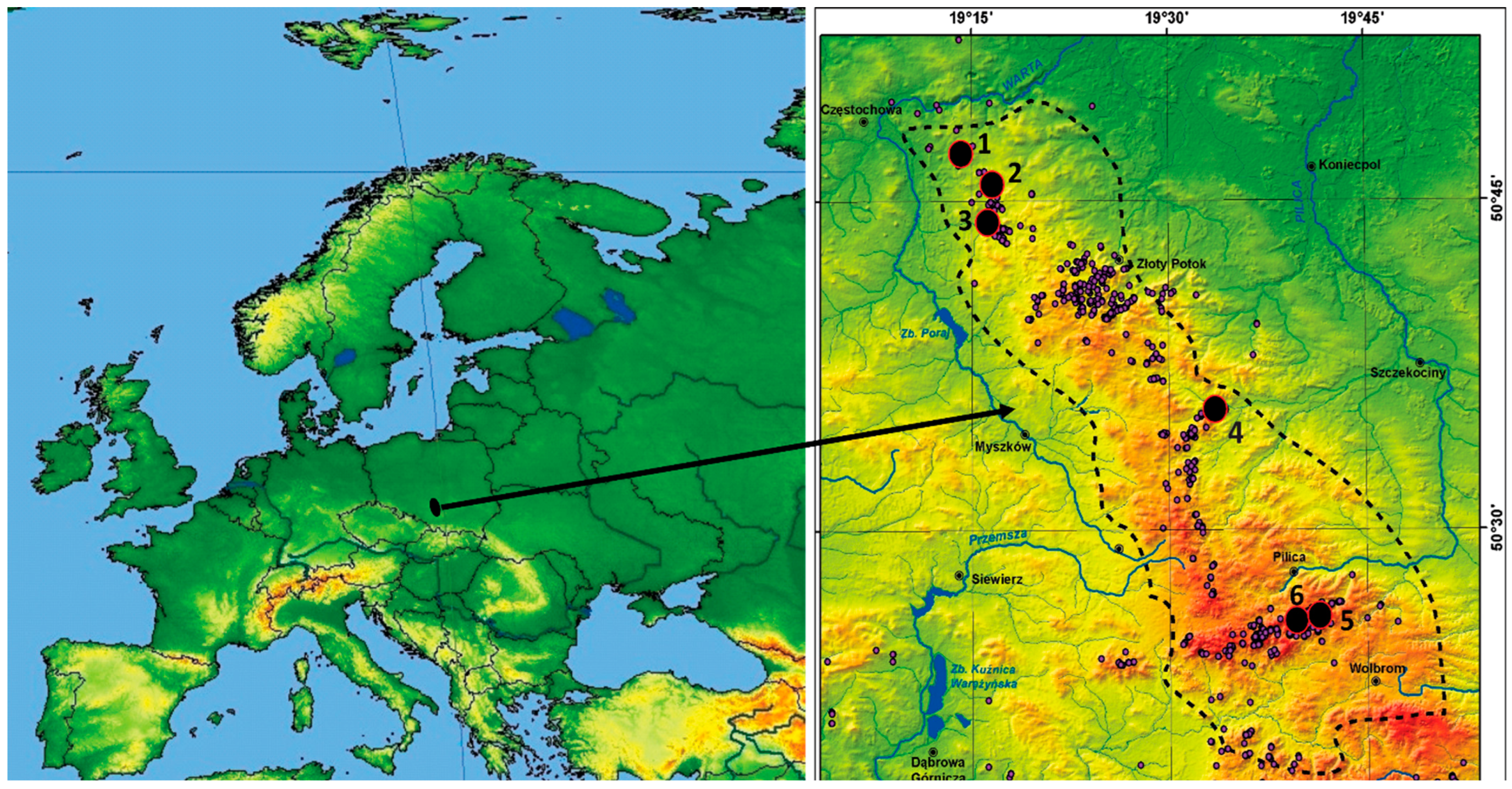 Diversity 15 00345 g001 Diversity 15 00345 g001
