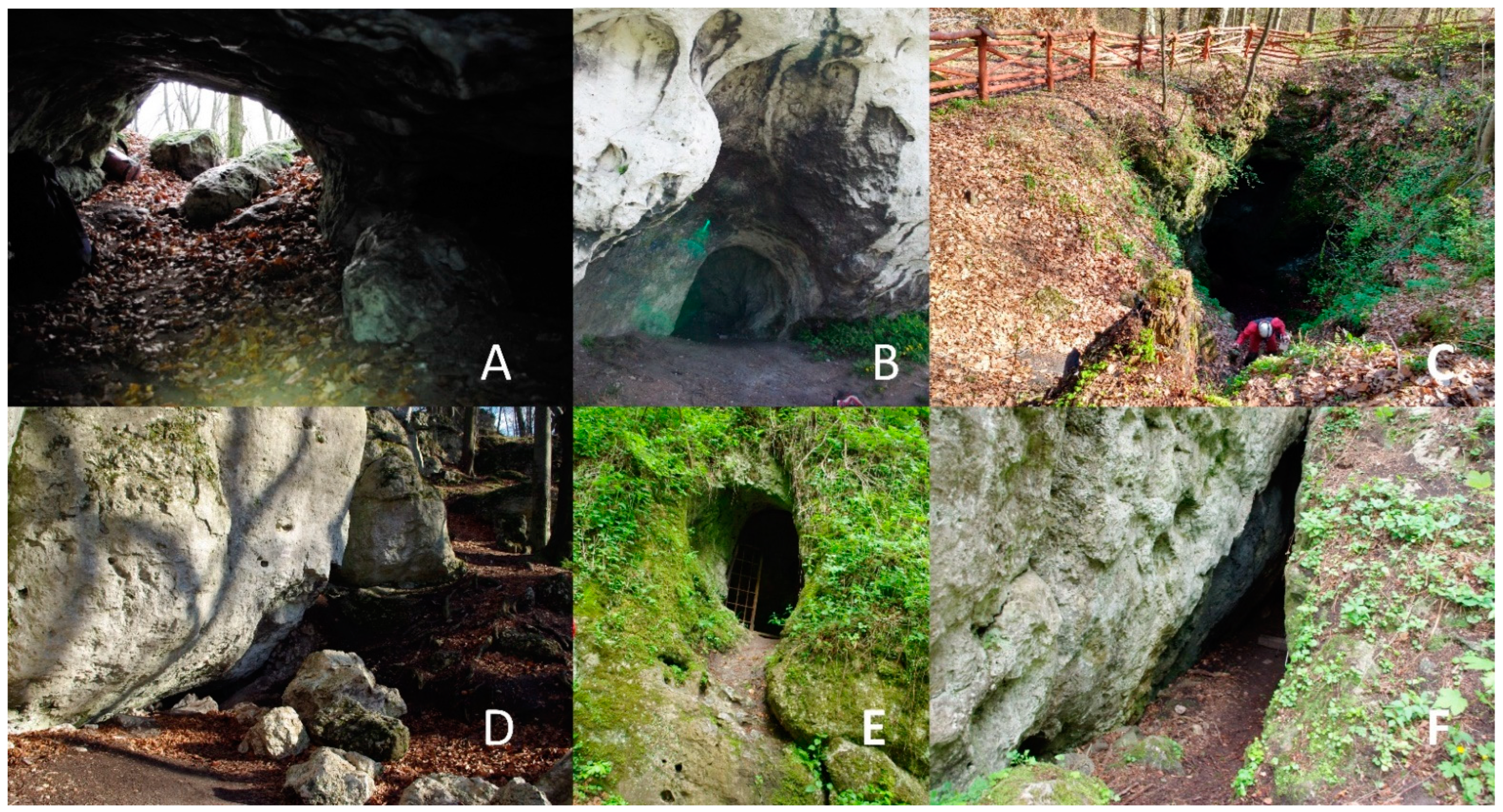 Diversity 15 00345 g002 Diversity 15 00345 g002