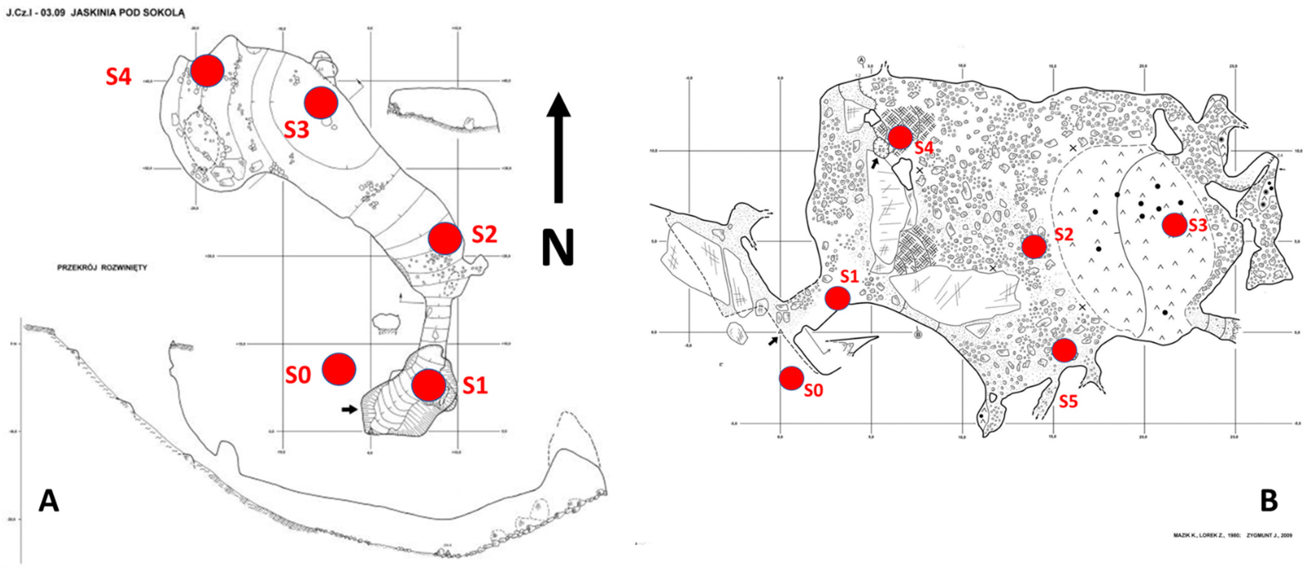 Diversity 15 00345 g004 Diversity 15 00345 g004