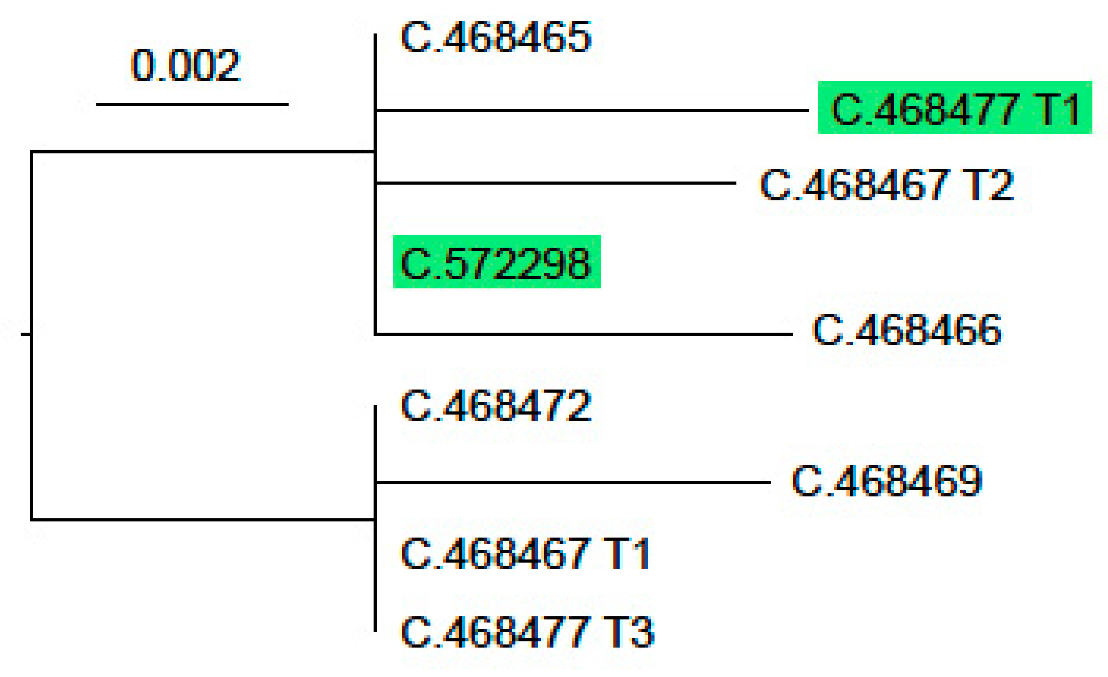 Diversity 15 00346 g006