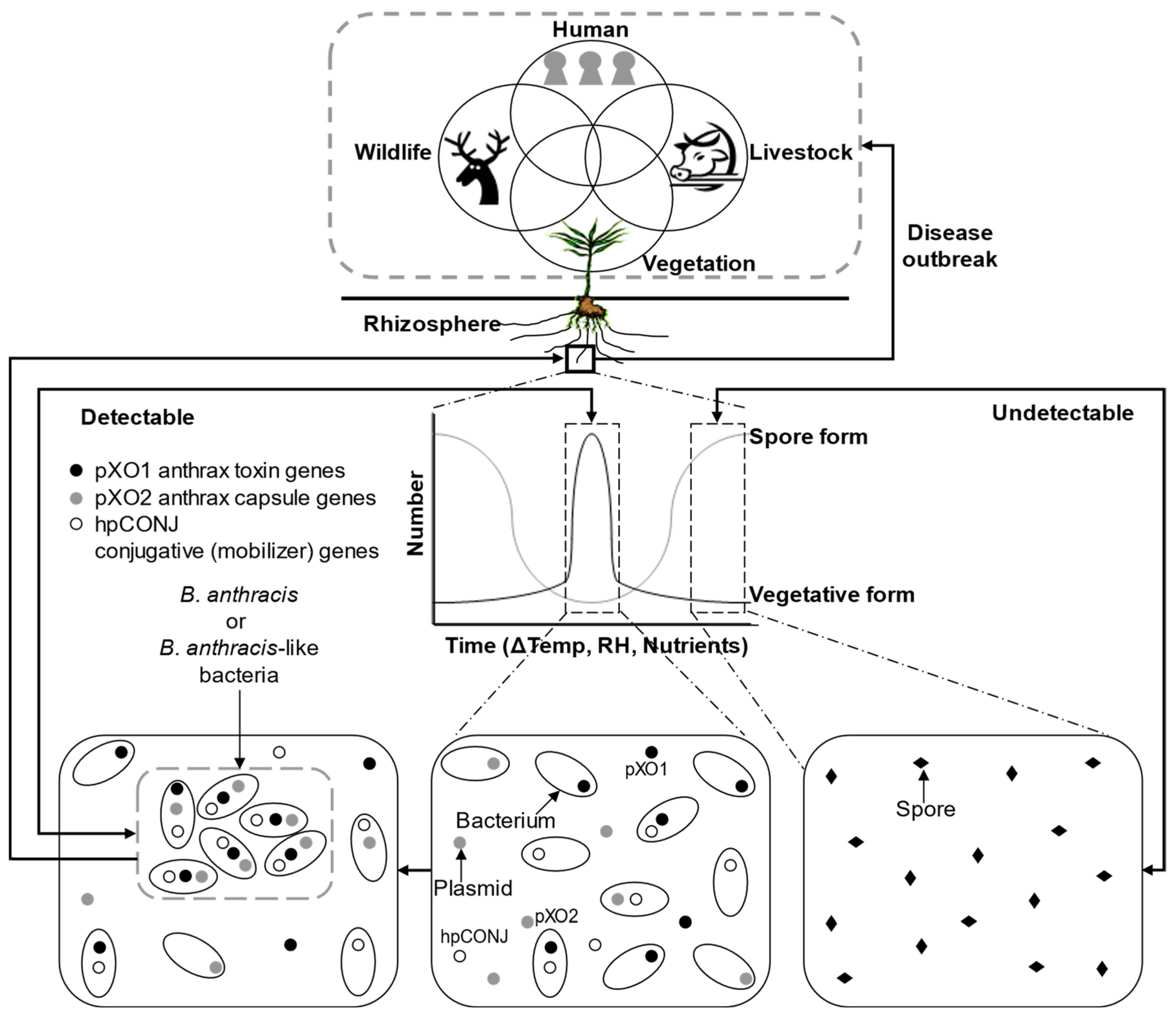 Diversity 15 00347 g001 Diversity 15 00347 g001
