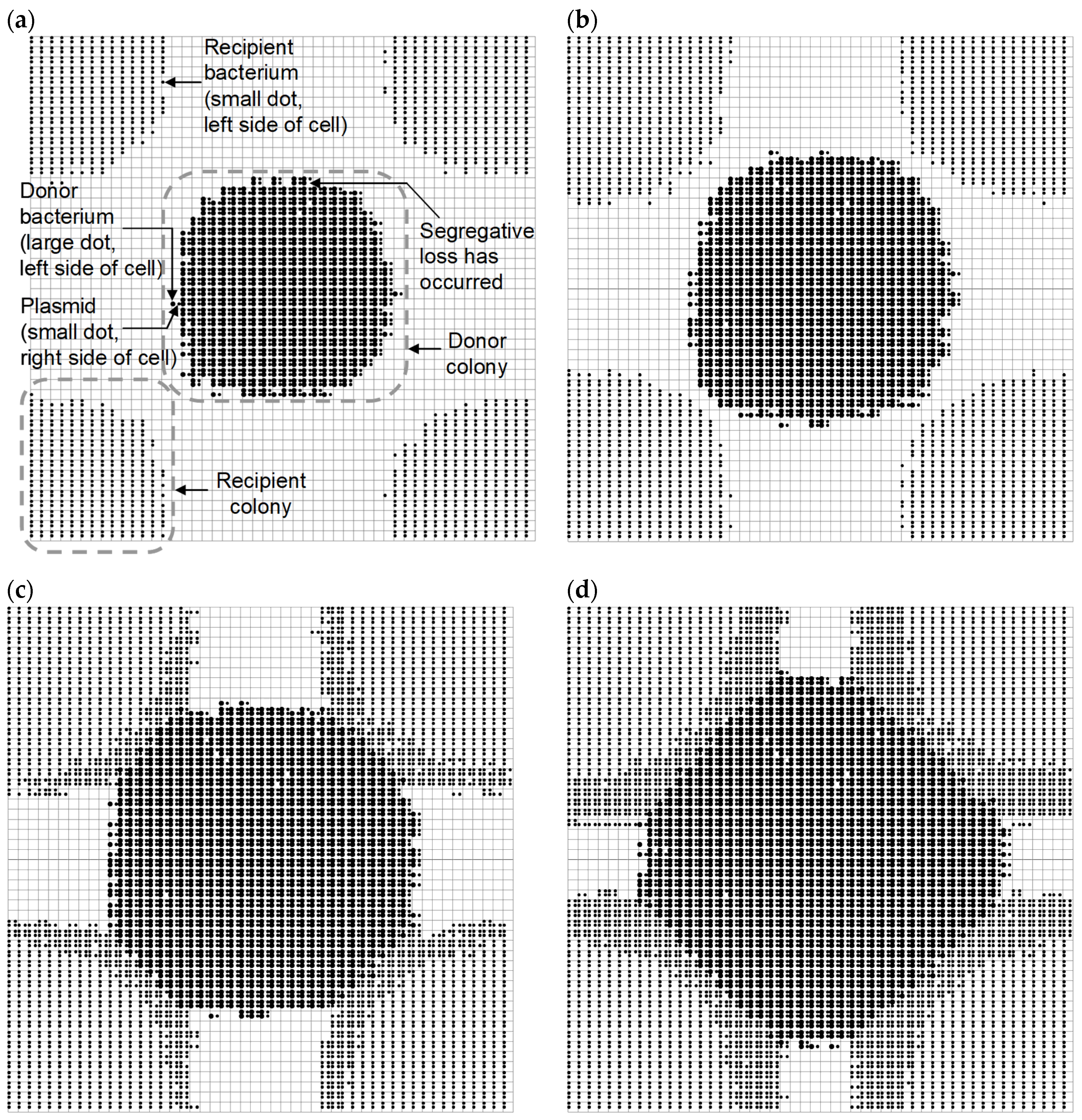 Diversity 15 00347 g004 Diversity 15 00347 g004