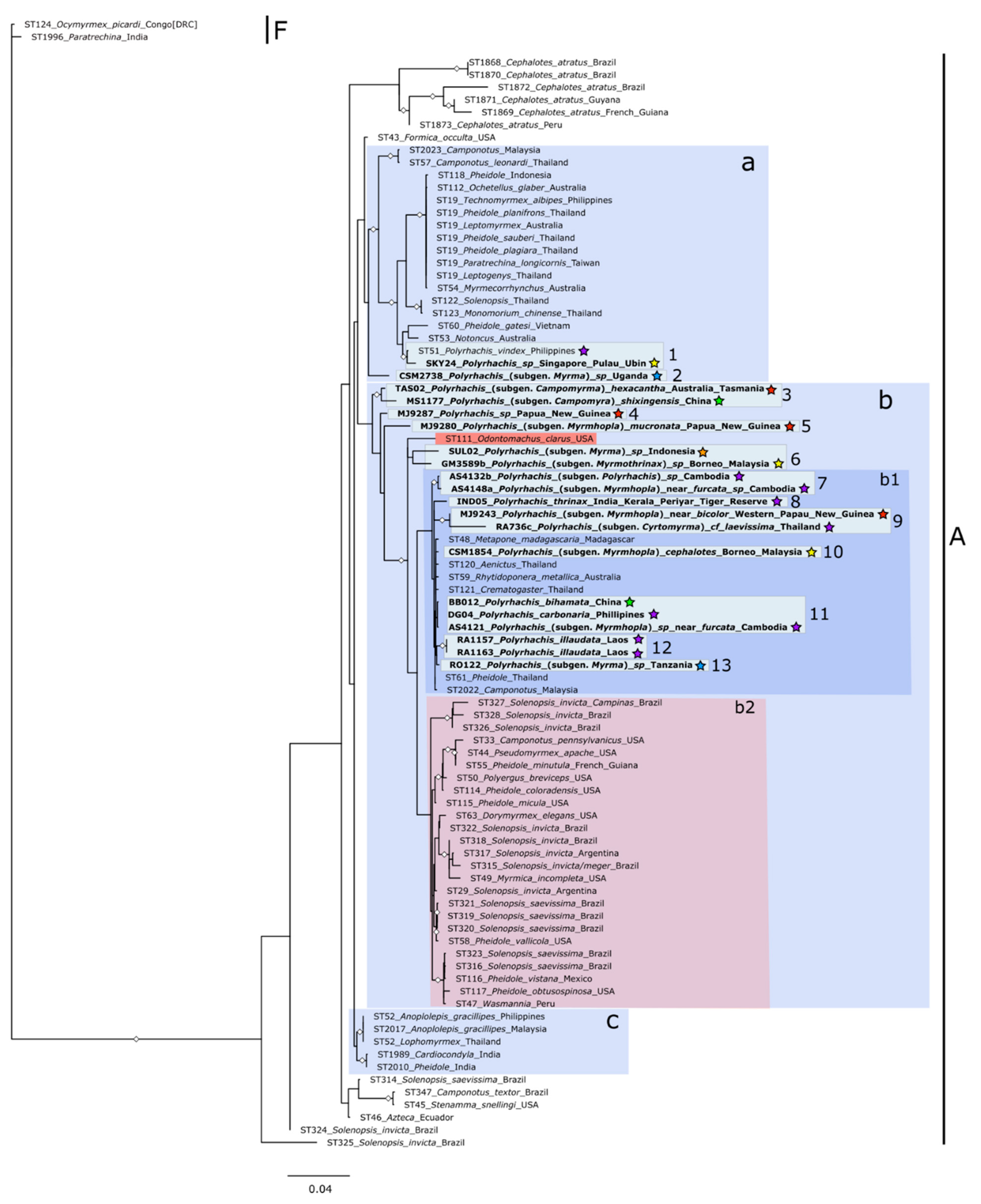 Diversity 15 00348 g003 Diversity 15 00348 g003