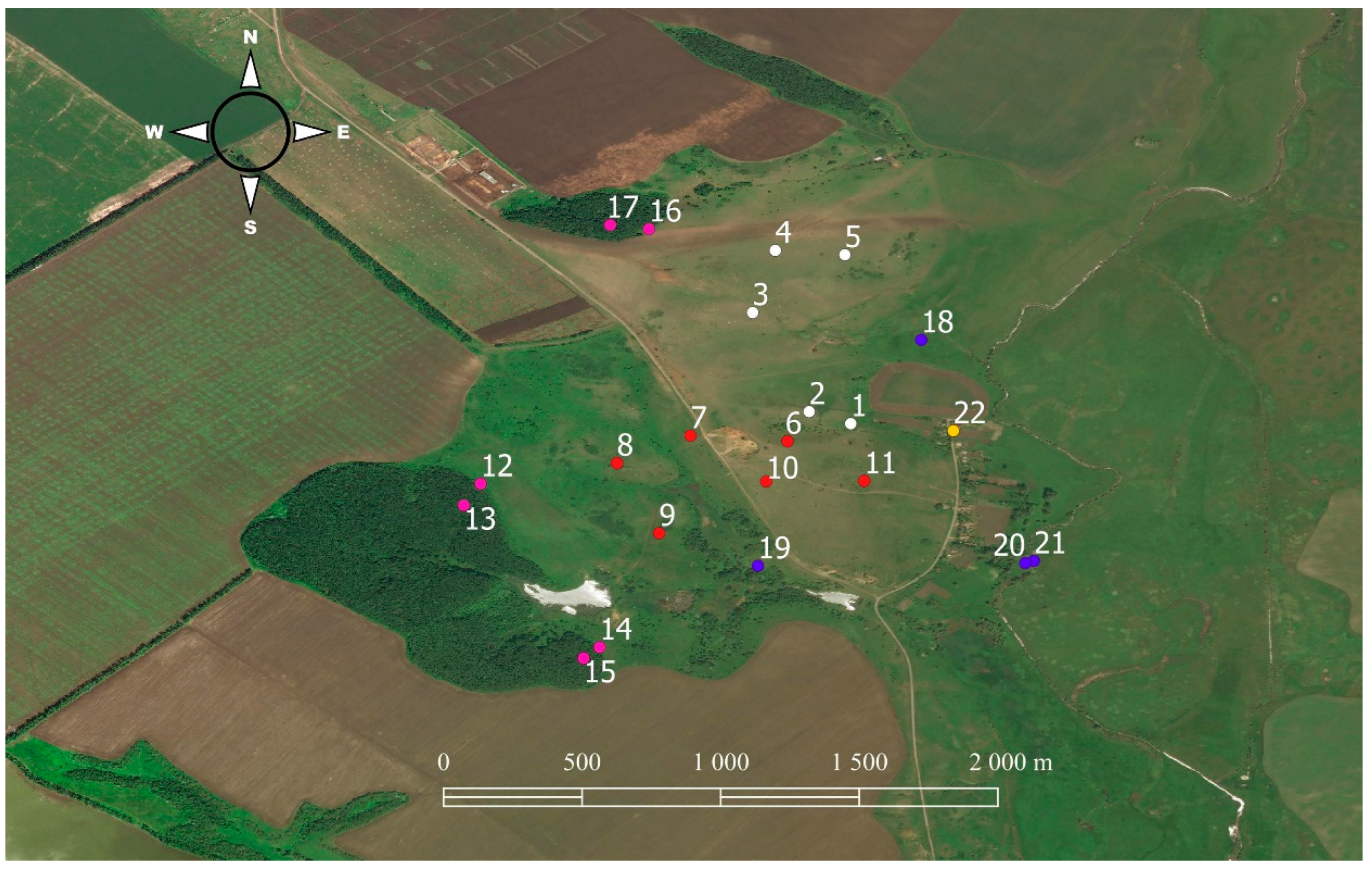 Diversity 15 00351 g001