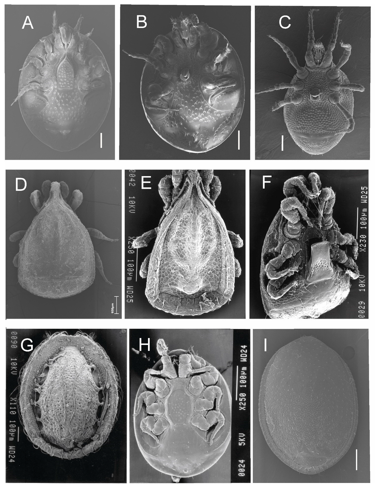 Diversity 15 00355 g0a1 Diversity 15 00355 g0a1