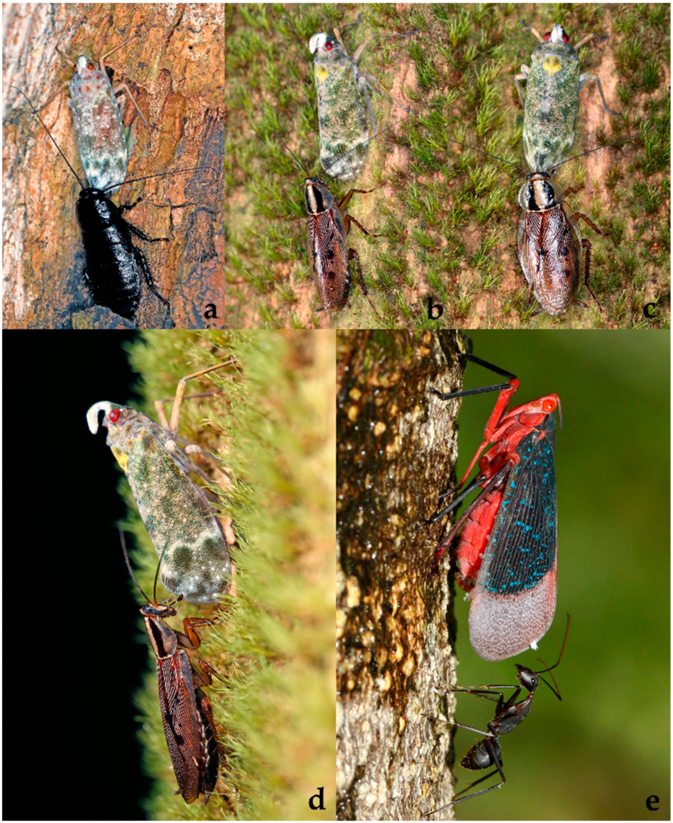 Diversity 15 00356 g009 Diversity 15 00356 g009