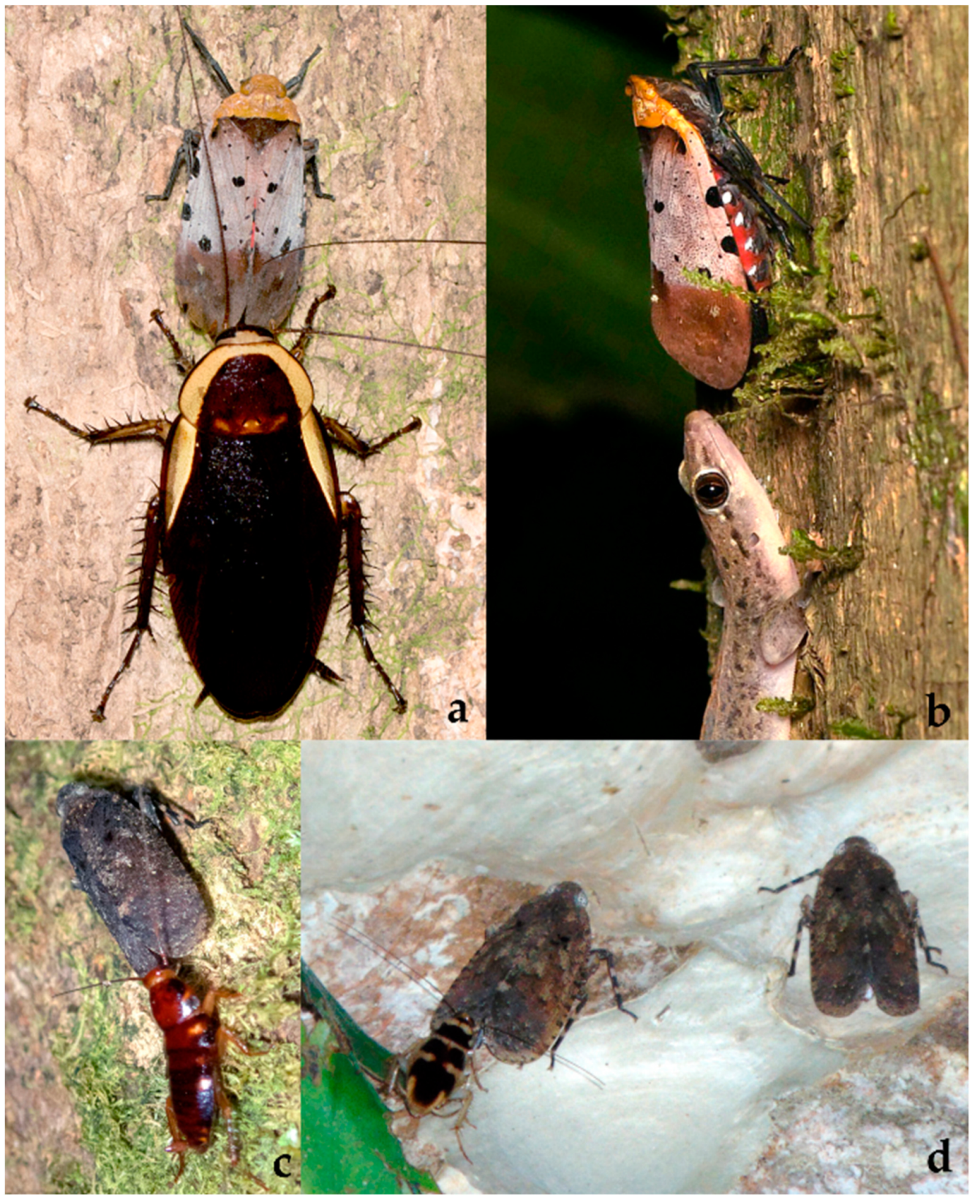 Diversity 15 00356 g013 Diversity 15 00356 g013