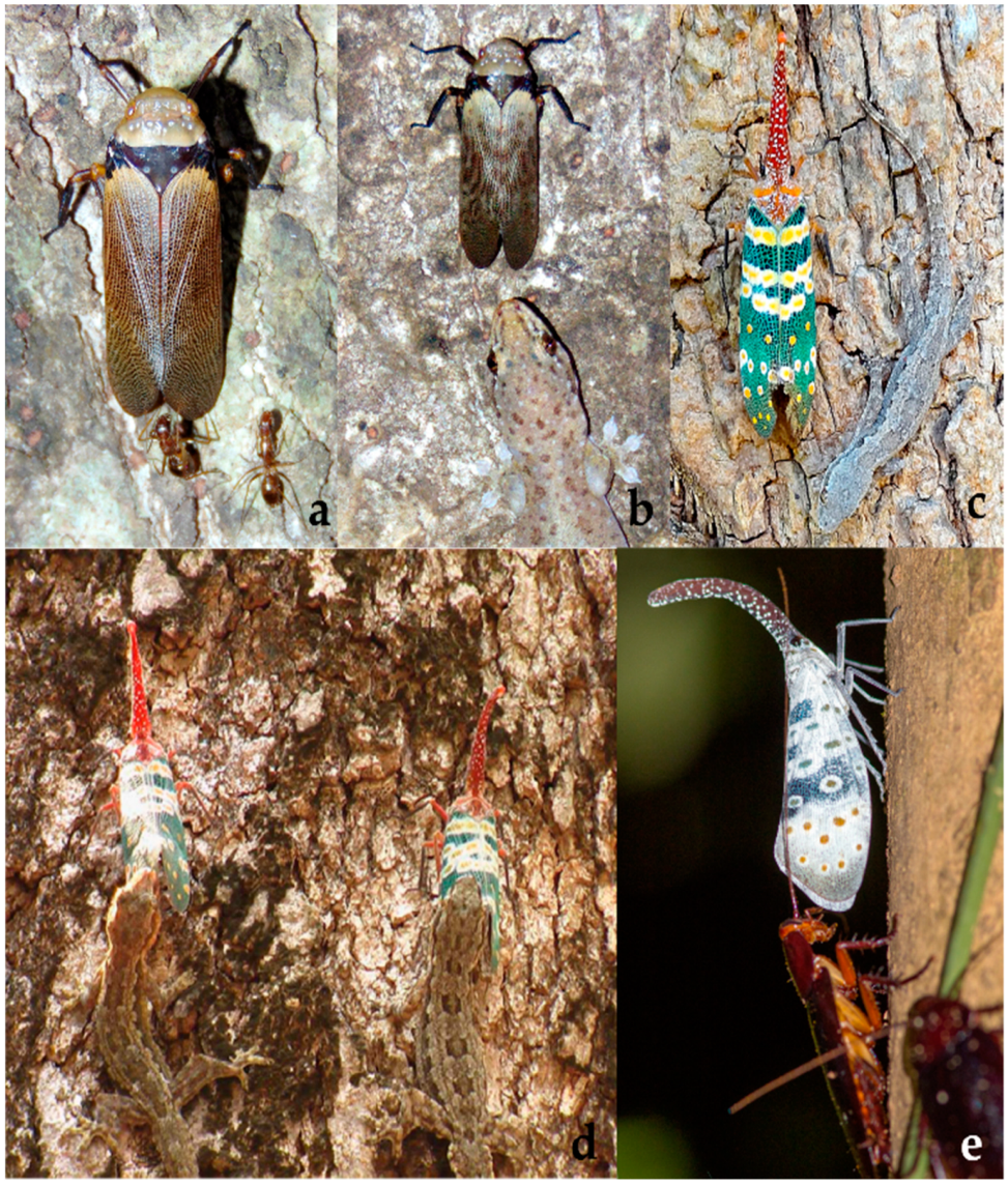 Diversity 15 00356 g016 Diversity 15 00356 g016