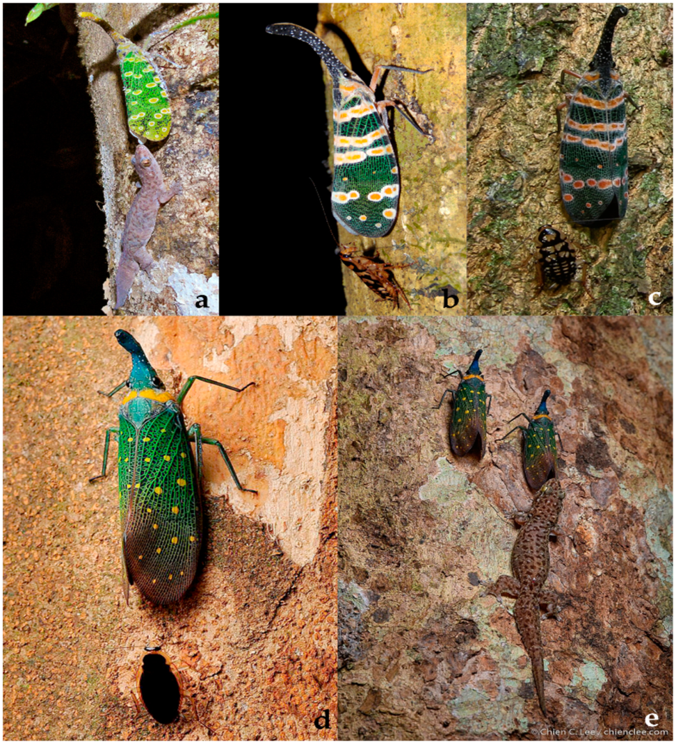 Diversity 15 00356 g018 Diversity 15 00356 g018