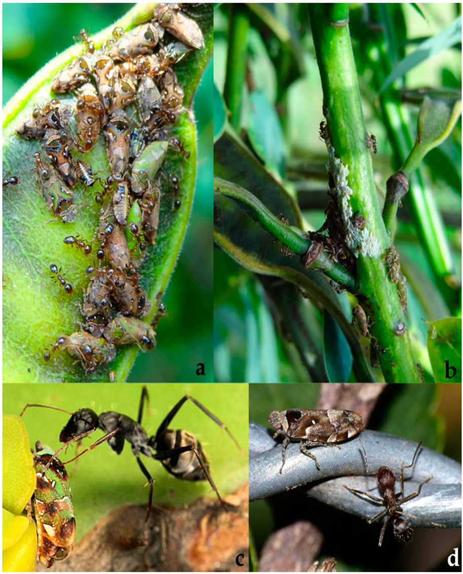 Diversity 15 00356 g026 Diversity 15 00356 g026