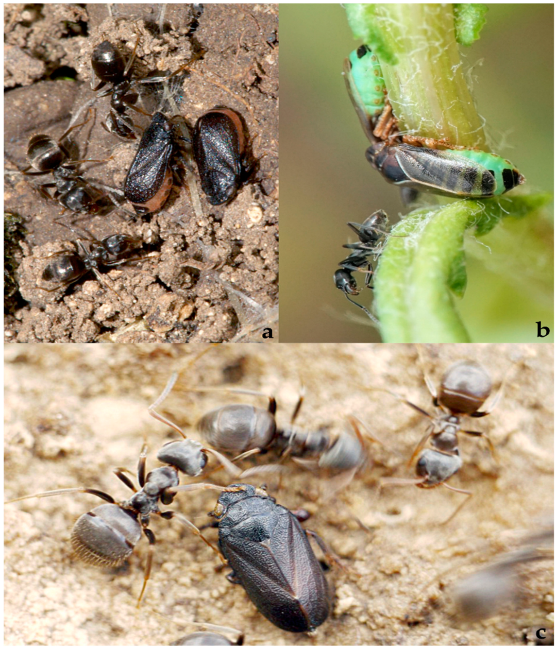 Diversity 15 00356 g028 Diversity 15 00356 g028