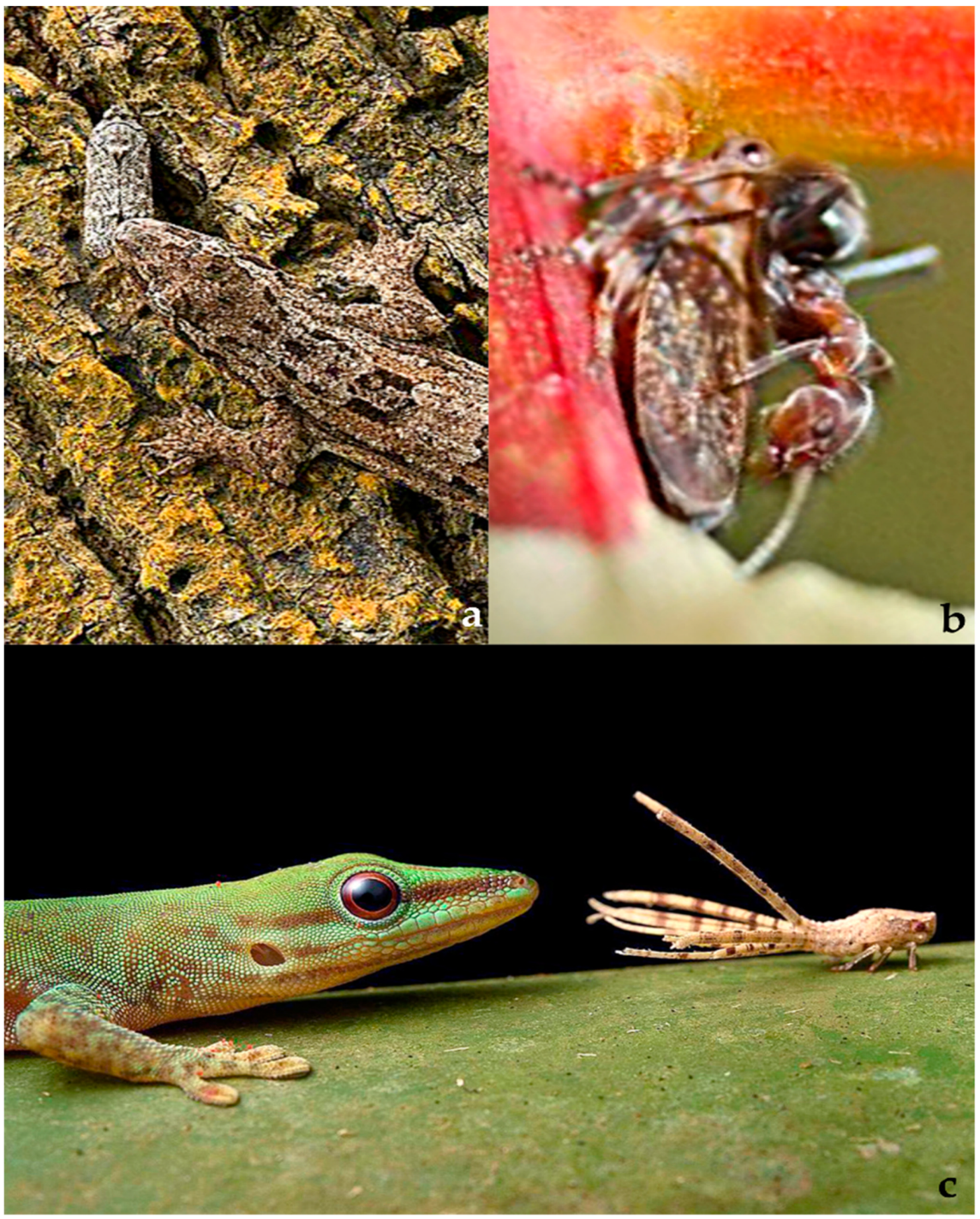 Diversity 15 00356 g036 Diversity 15 00356 g036