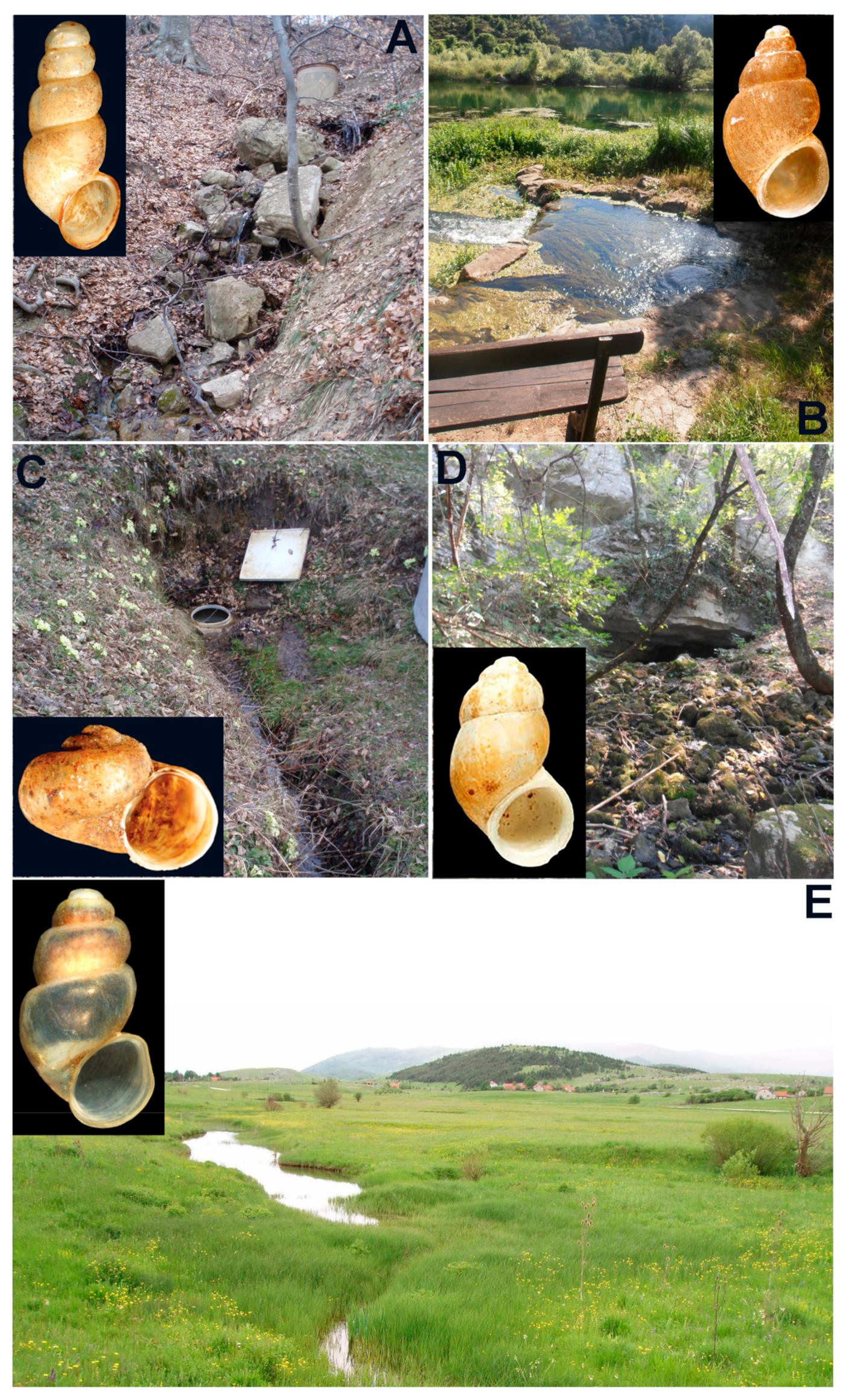 Diversity 15 00357 g003 Diversity 15 00357 g003