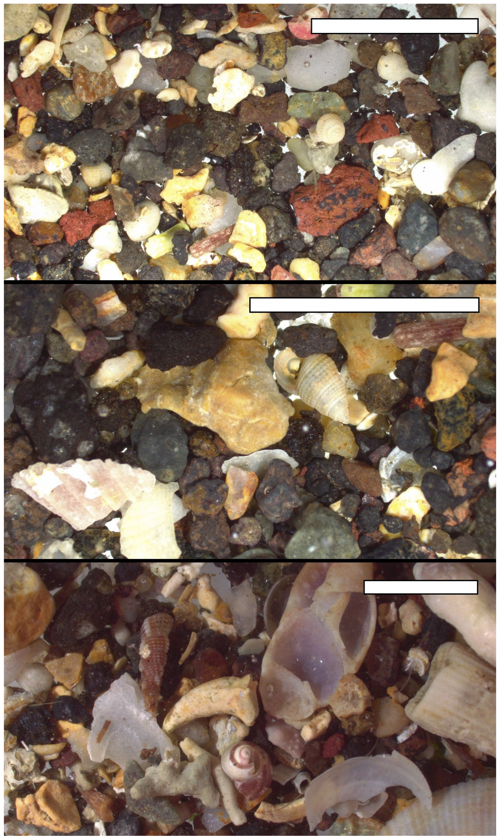 Diversity 15 00358 g002