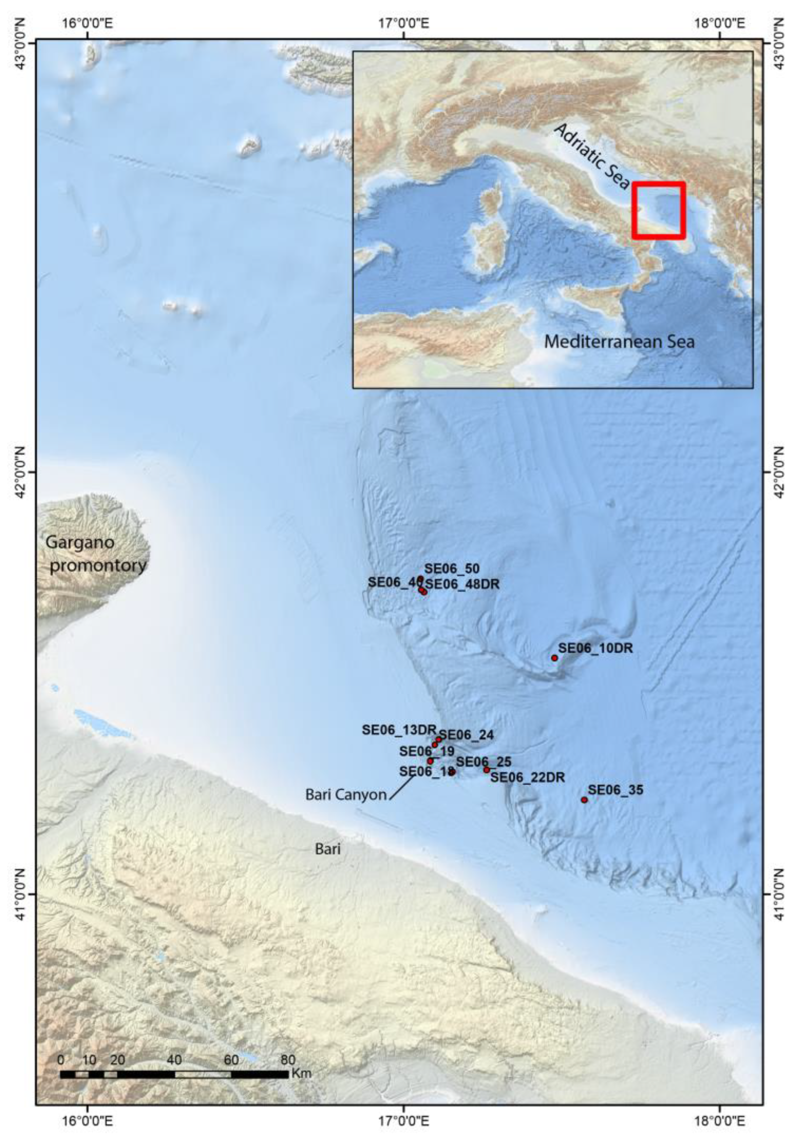 Diversity 15 00359 g001