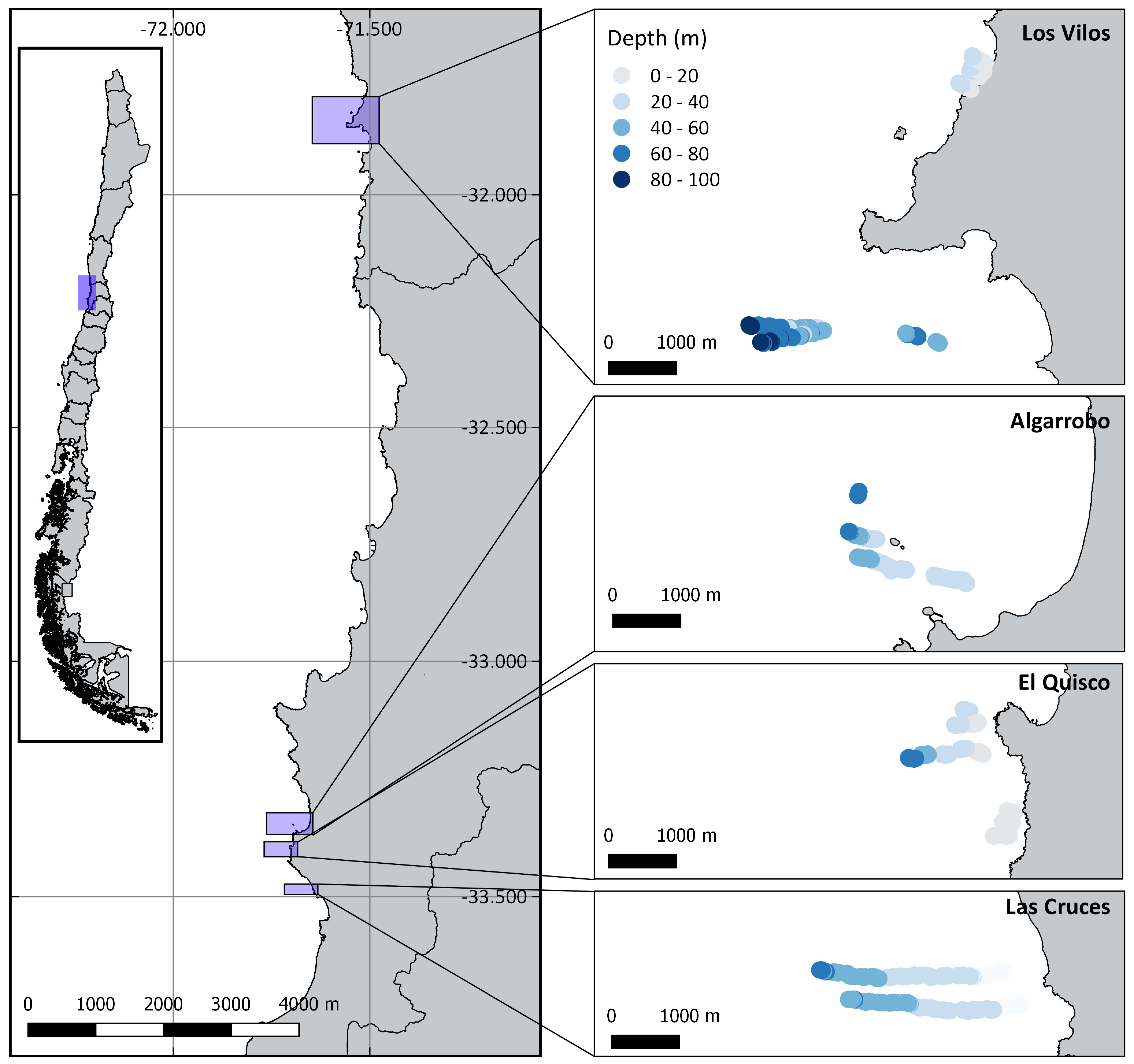 Diversity   Free Full Text   The Hidden Diversity of Temperate