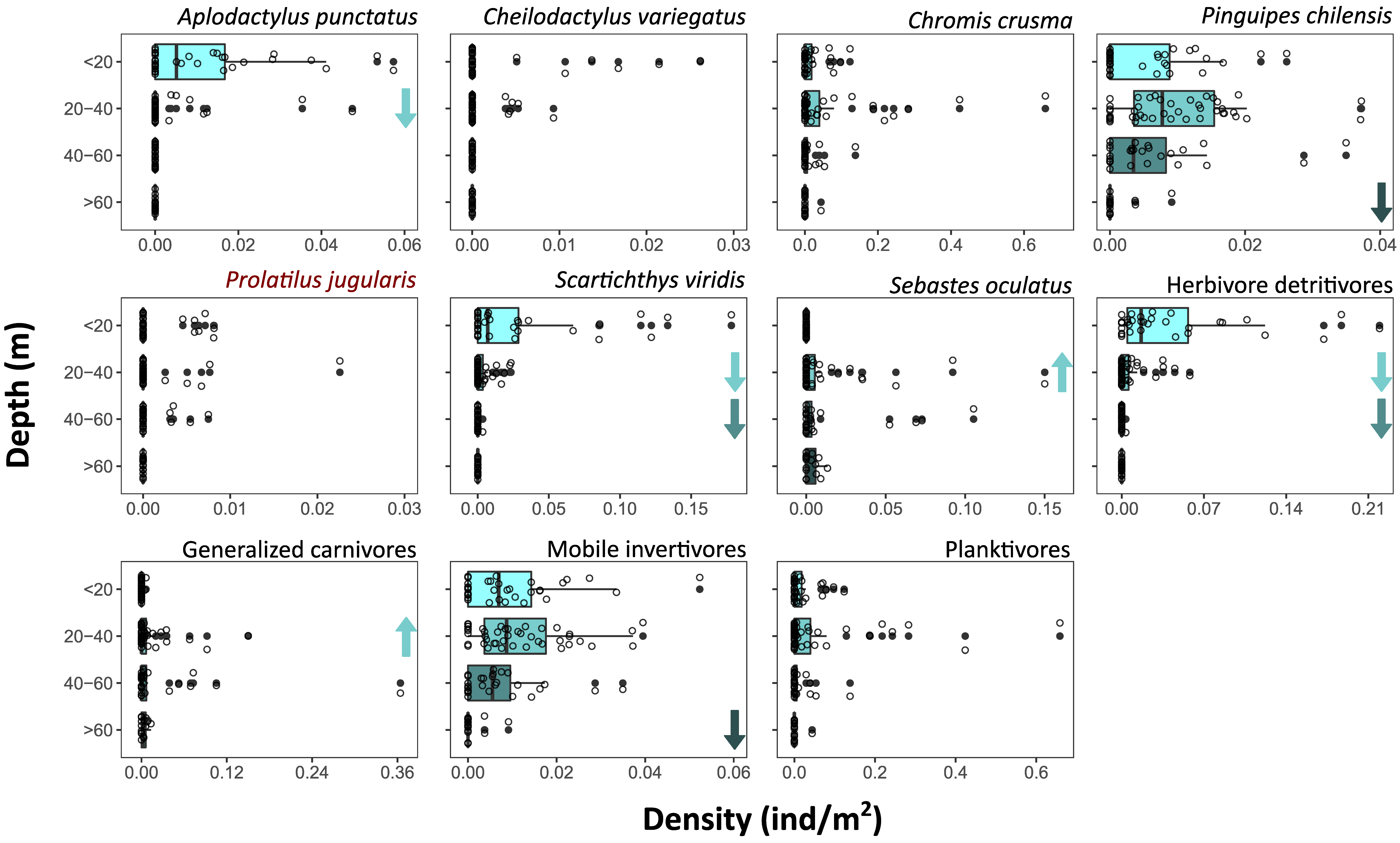 Diversity 15 00360 g004