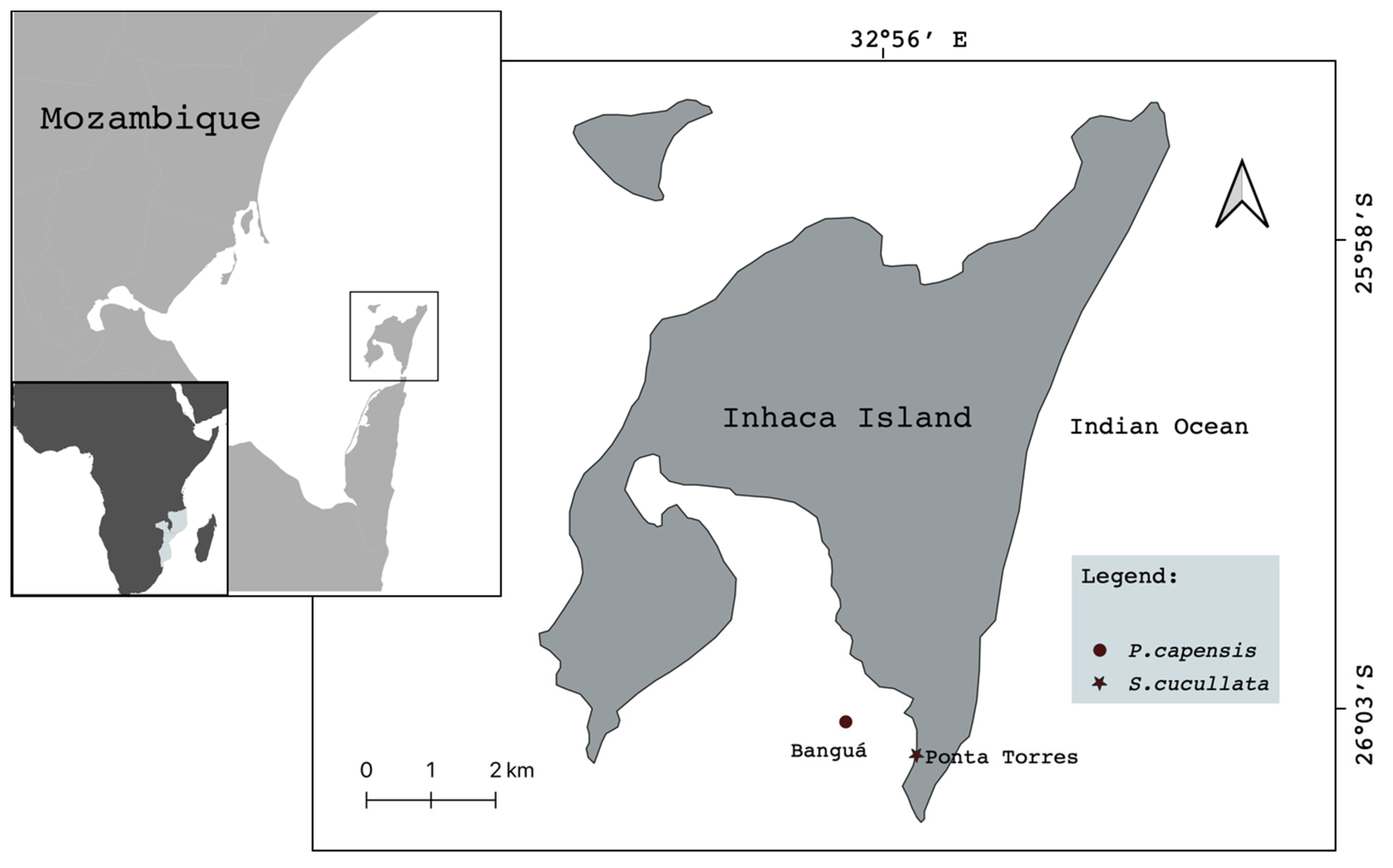 Diversity 15 00361 g001 Diversity 15 00361 g001