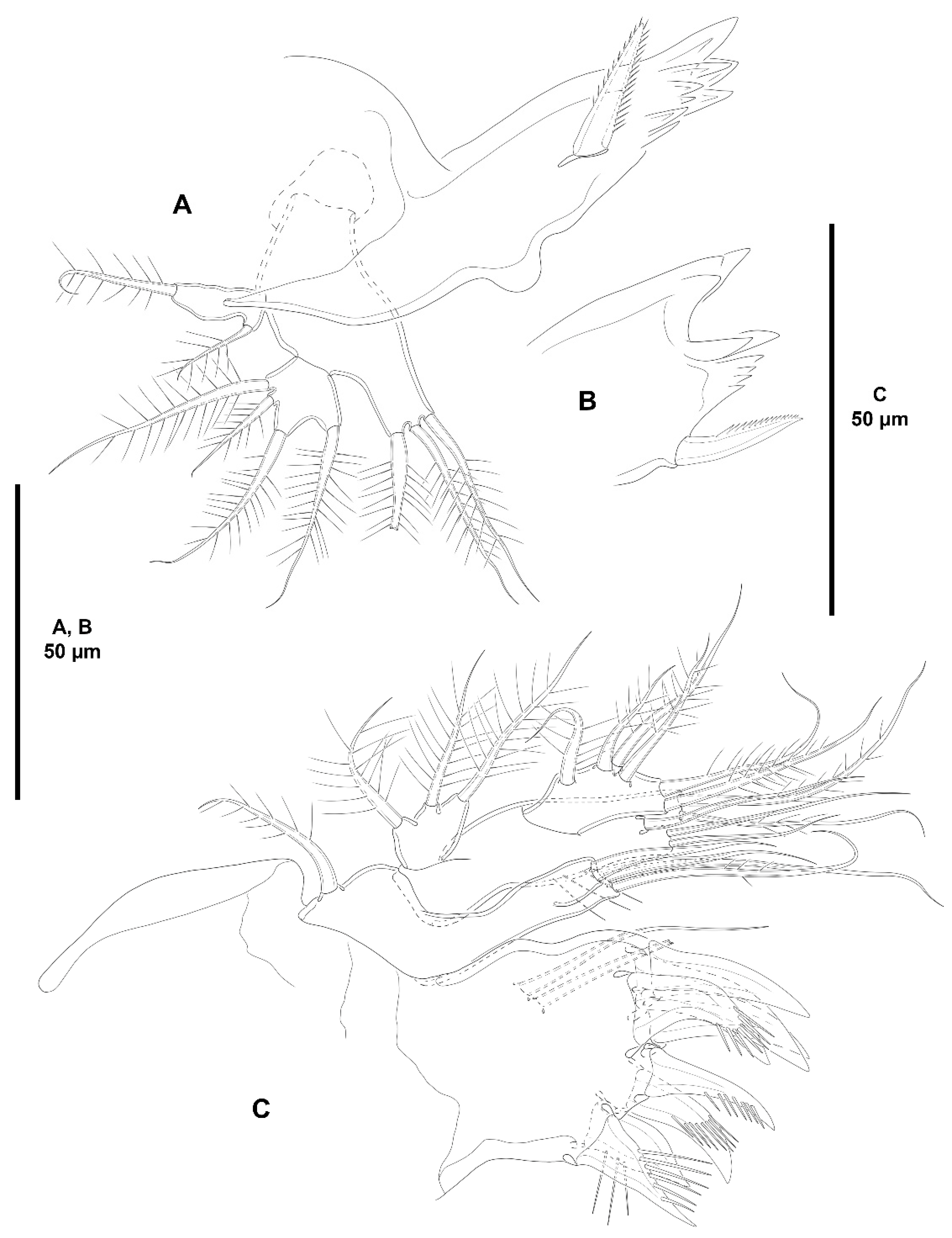 Diversity 15 00363 g004