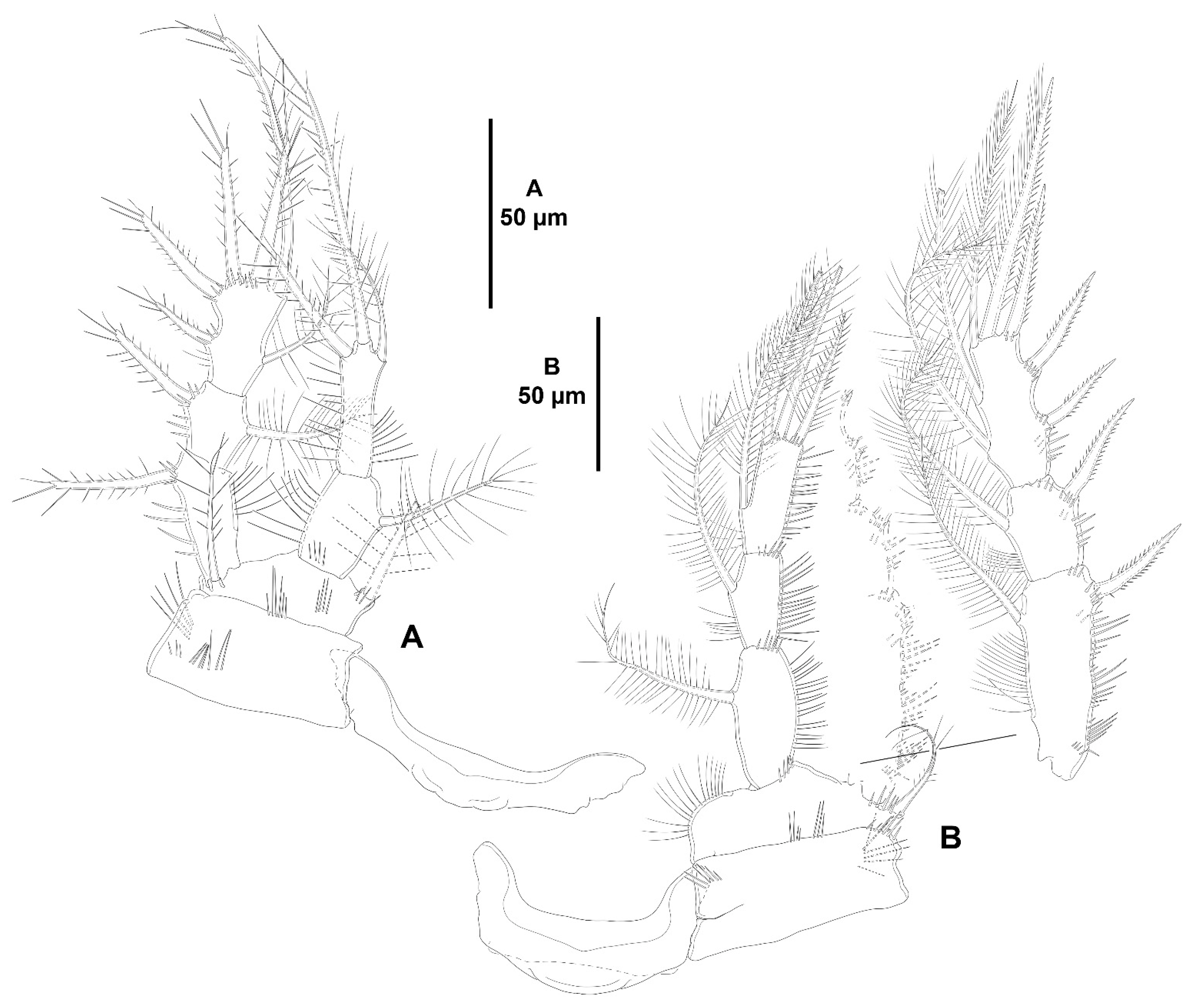 Diversity 15 00363 g006