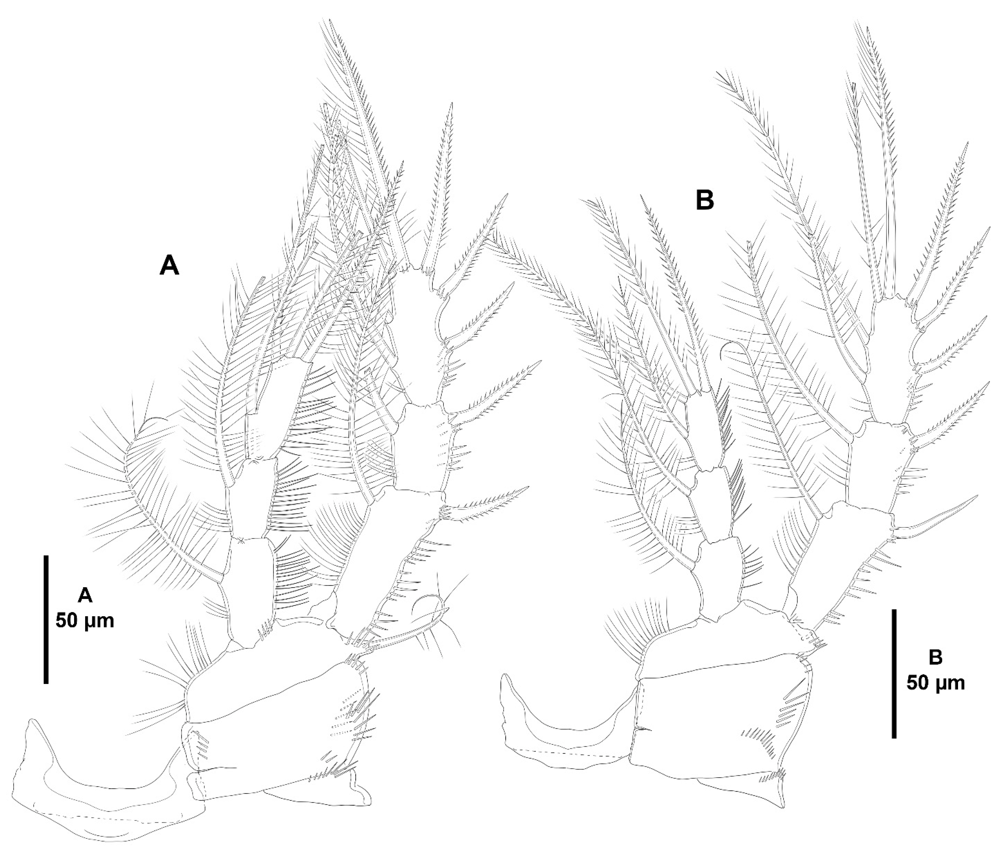 Diversity 15 00363 g007