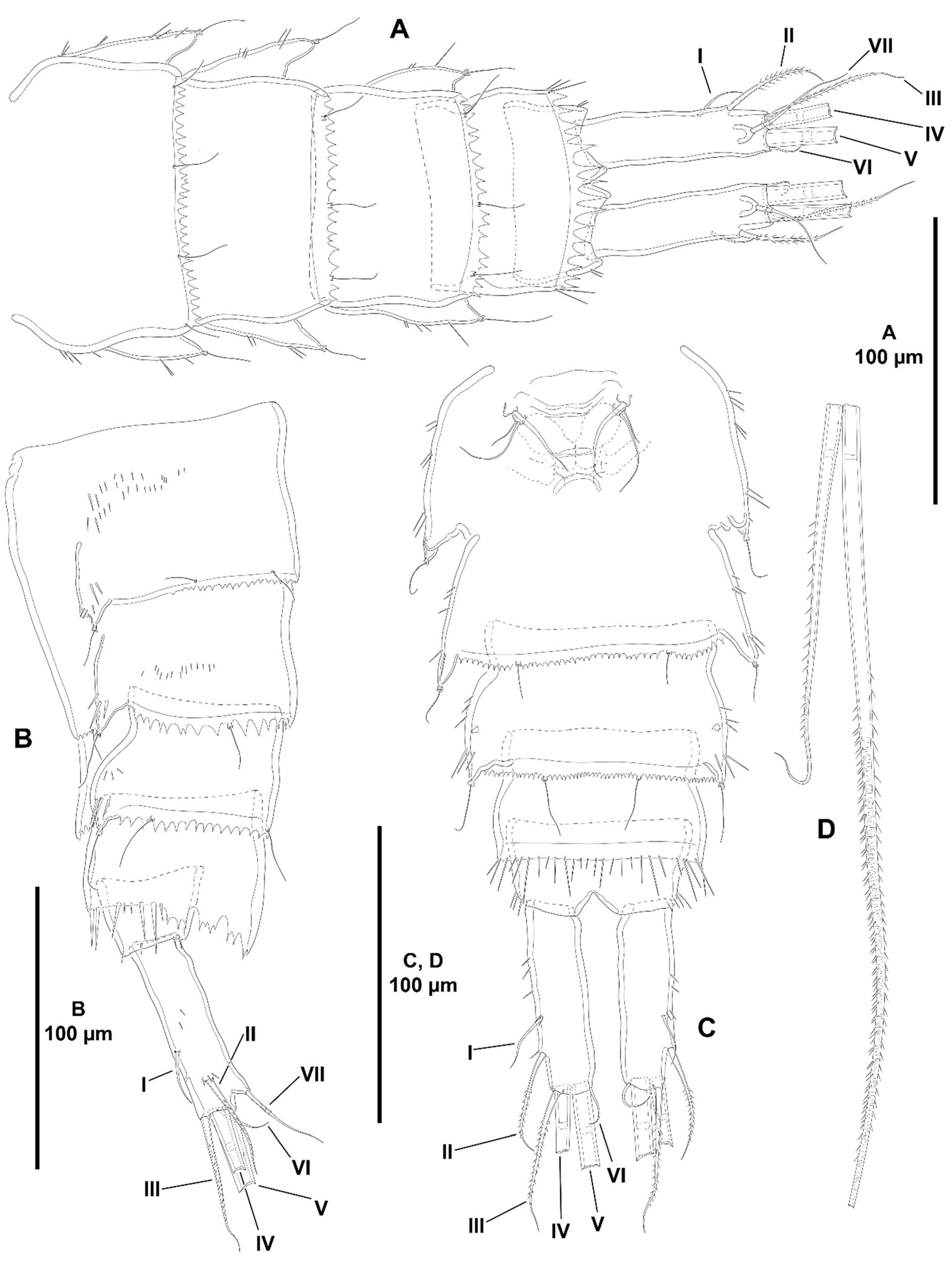 Diversity 15 00363 g008