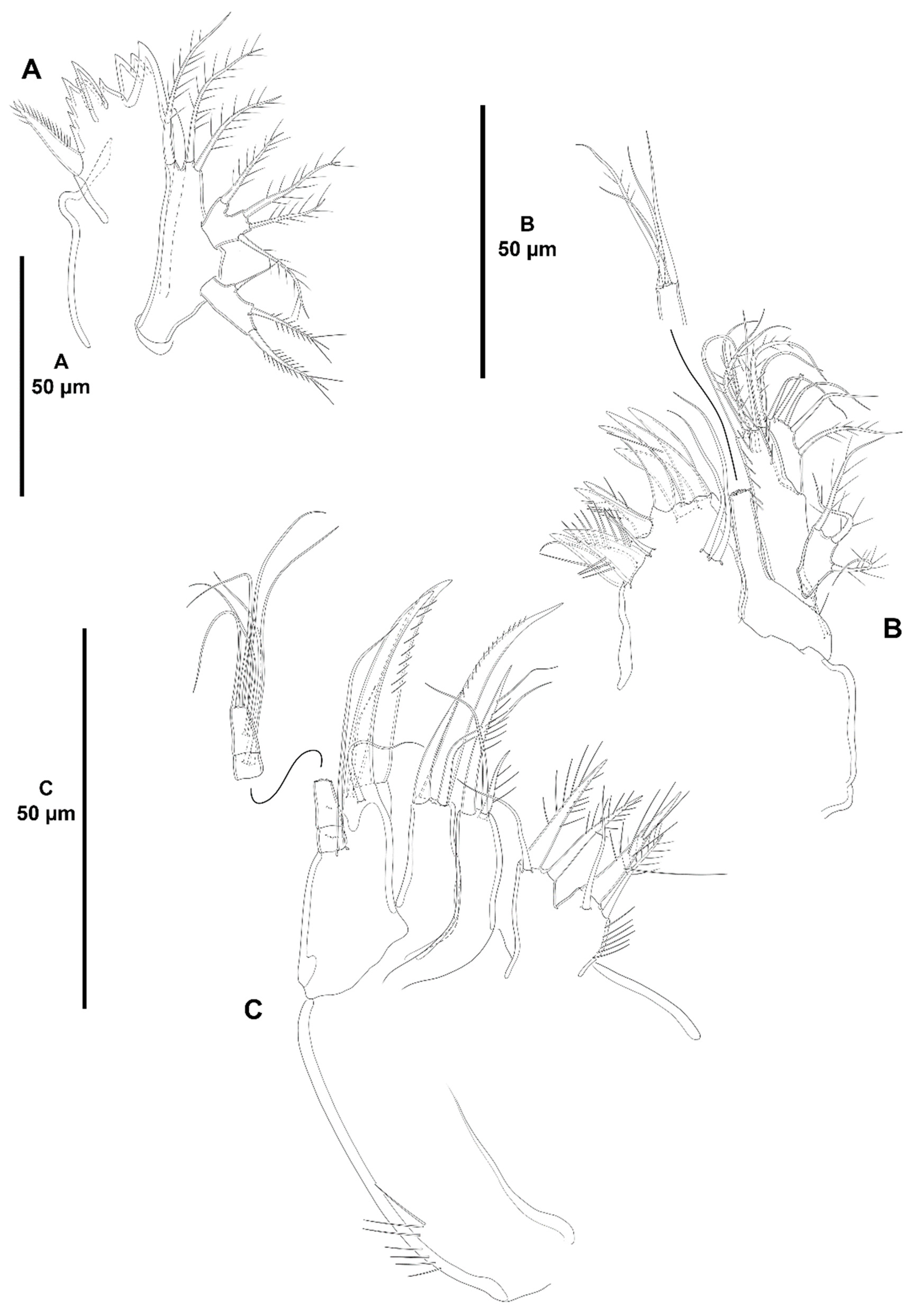 Diversity 15 00363 g010