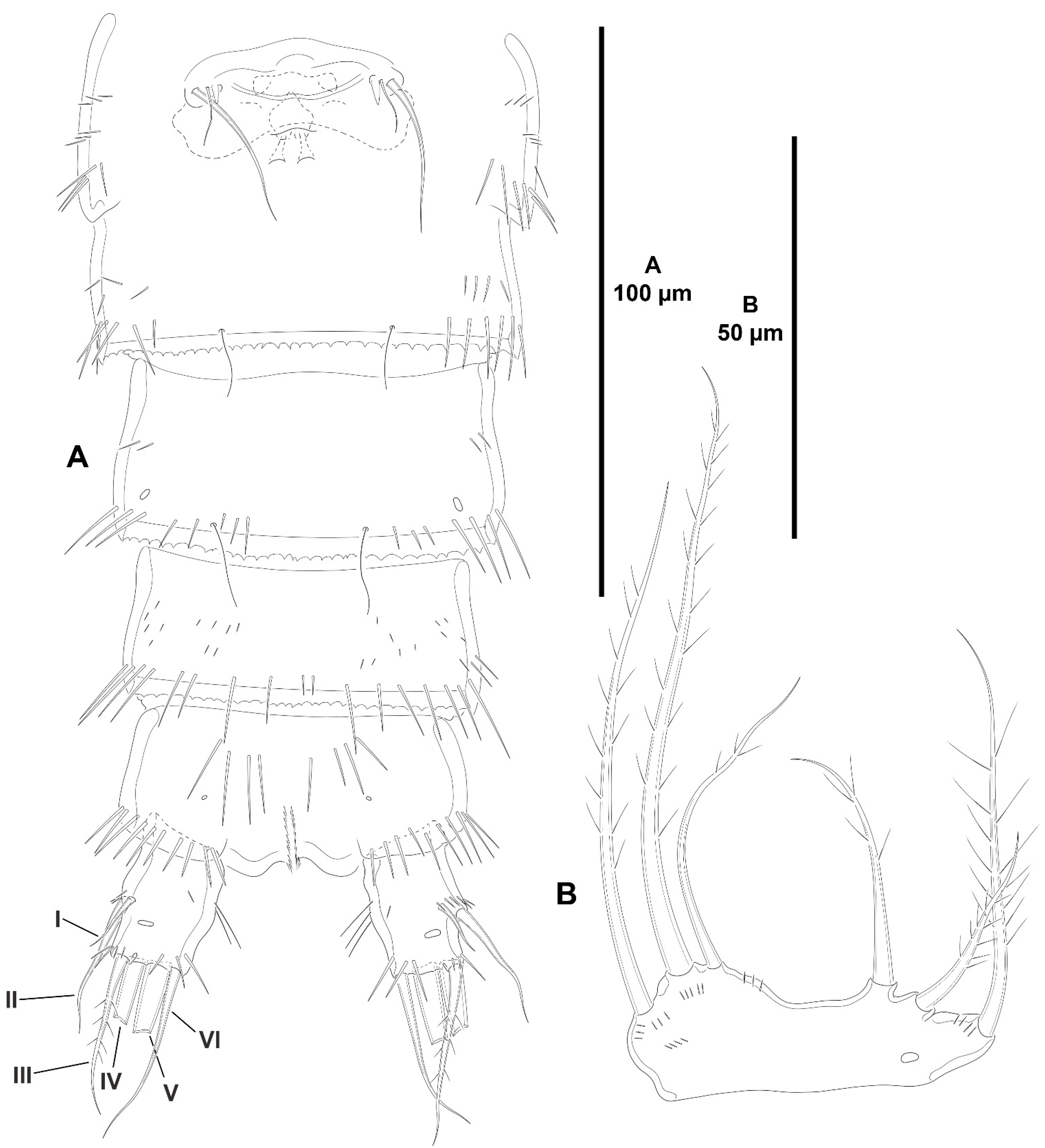 Diversity 15 00363 g015