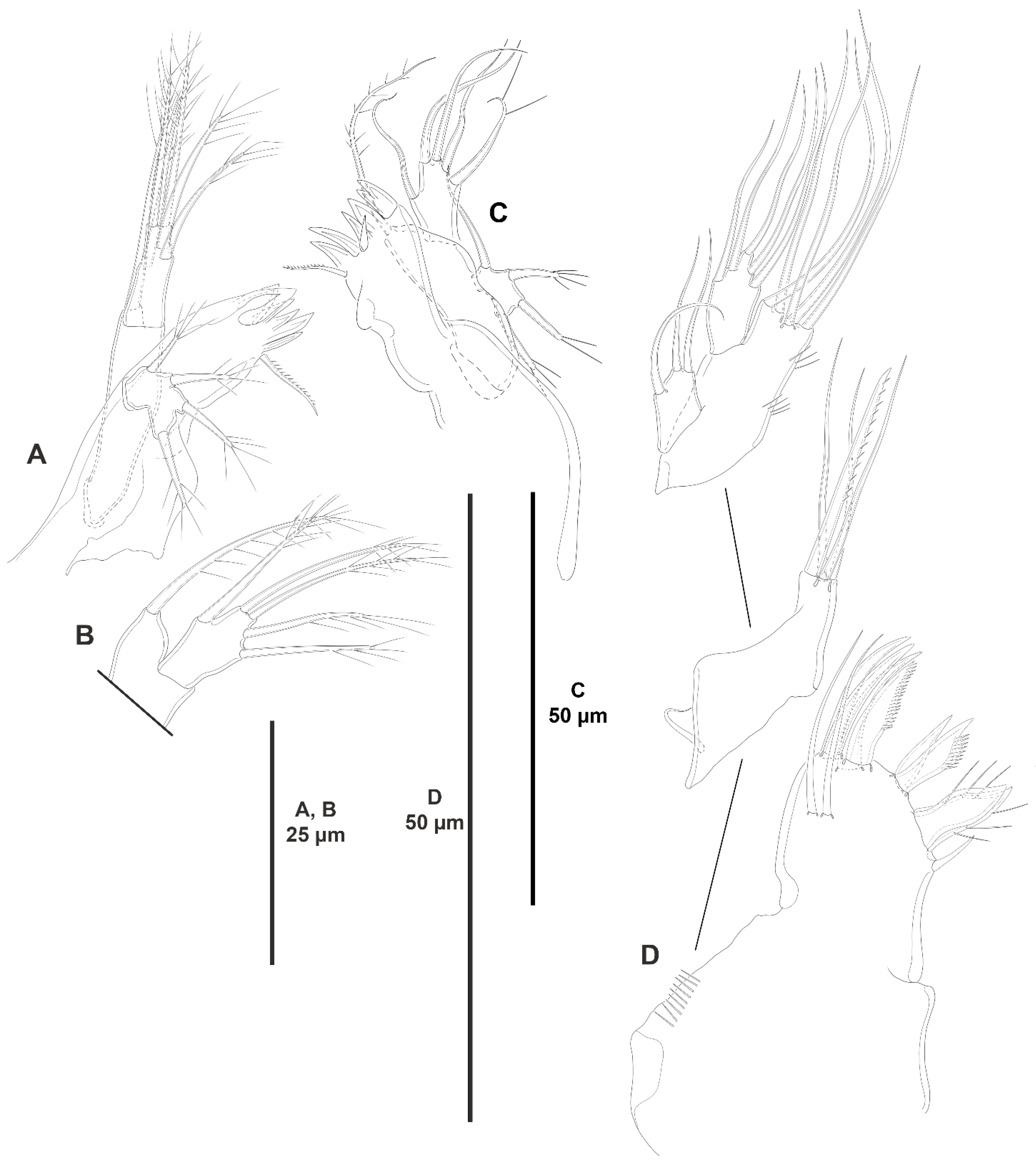 Diversity 15 00363 g017