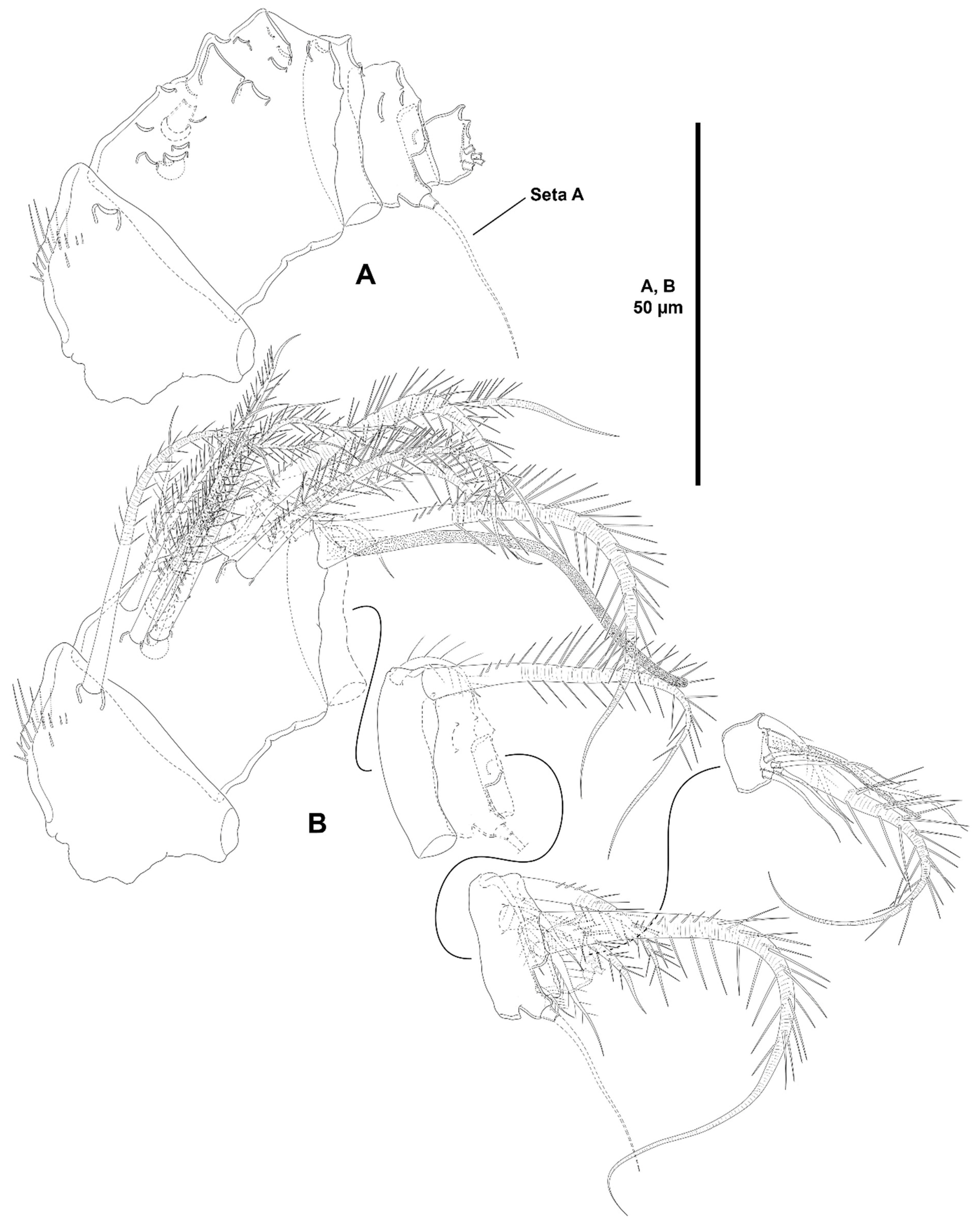 Diversity 15 00363 g022