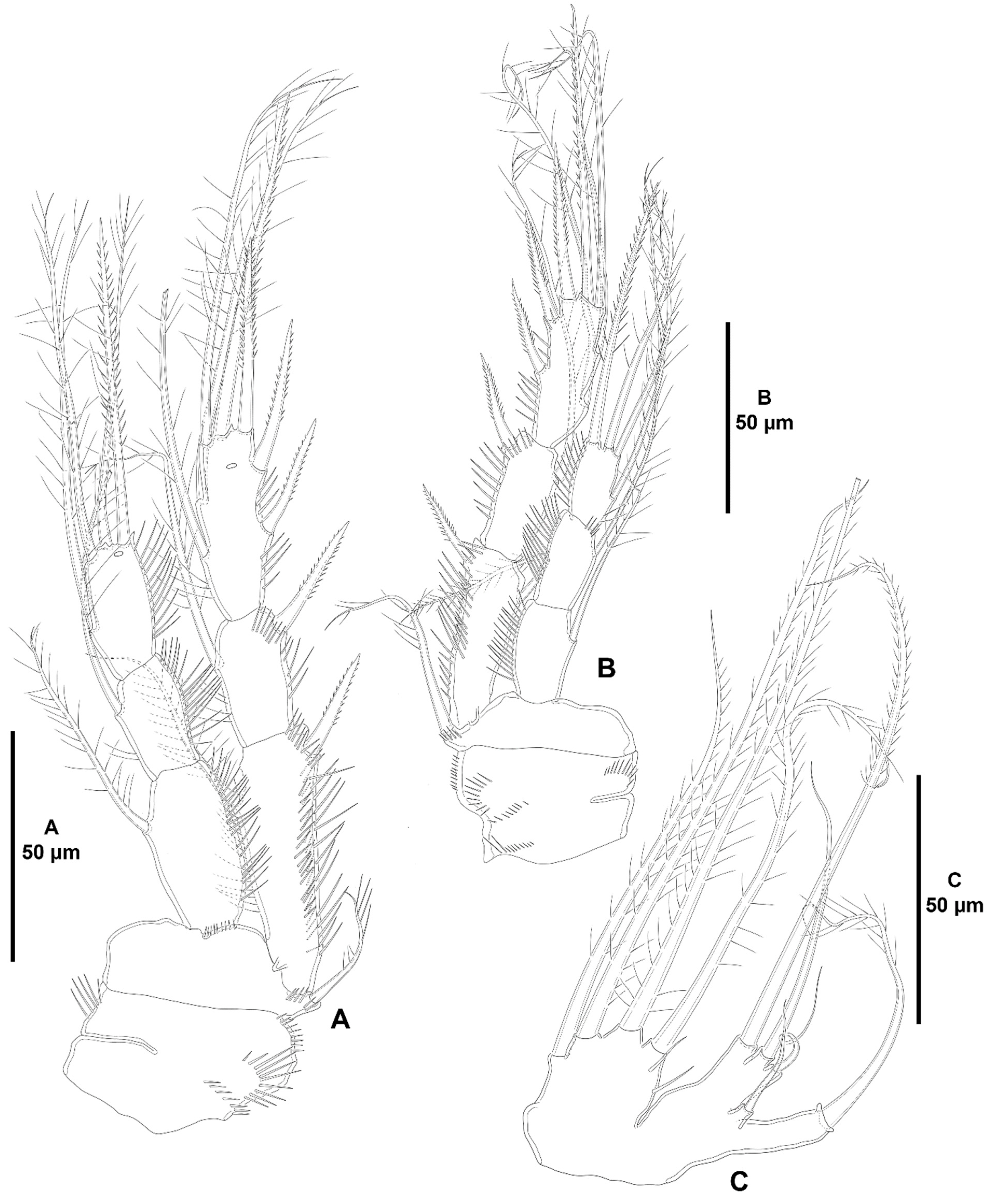 Diversity 15 00363 g025