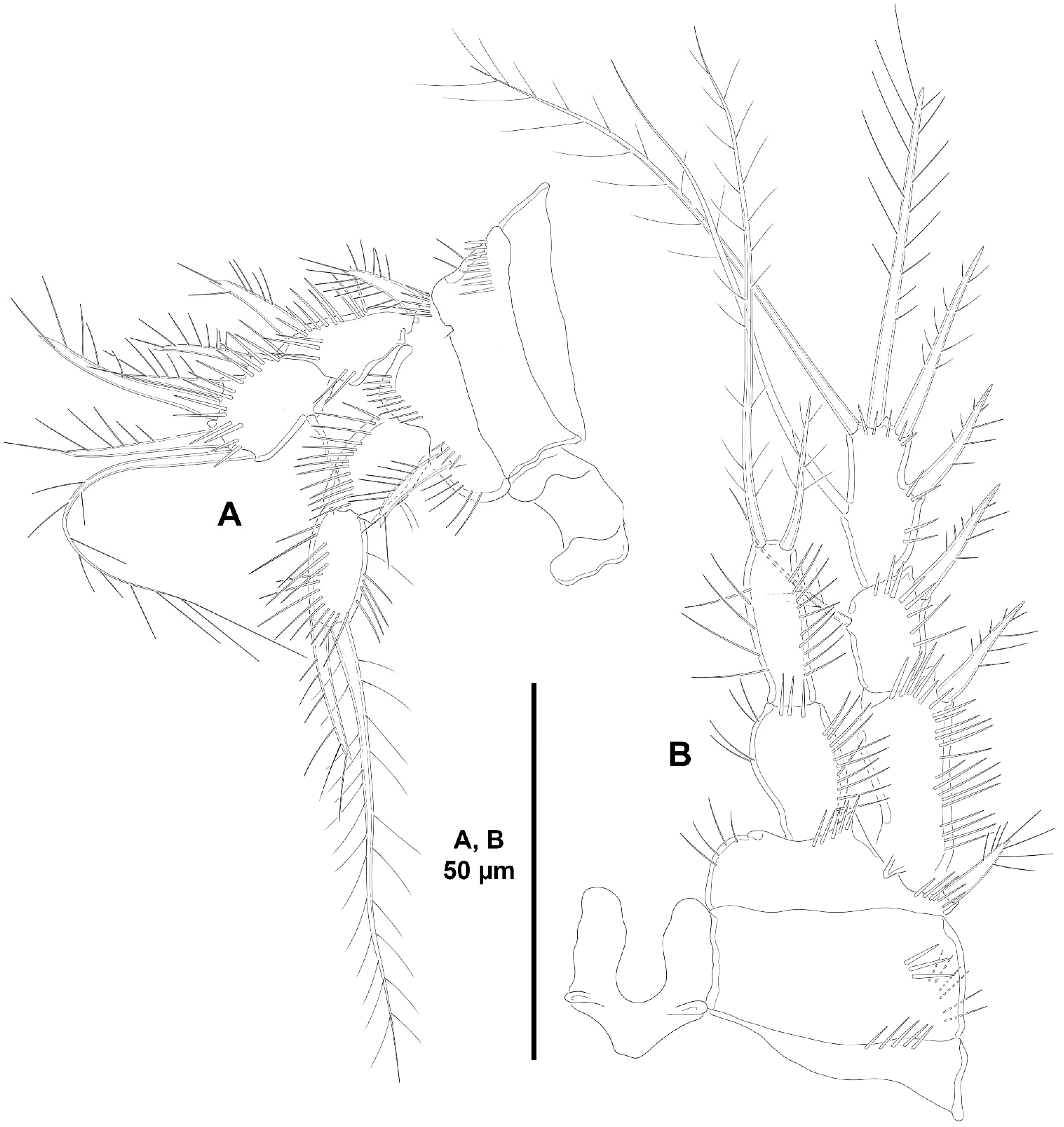 Diversity 15 00363 g029