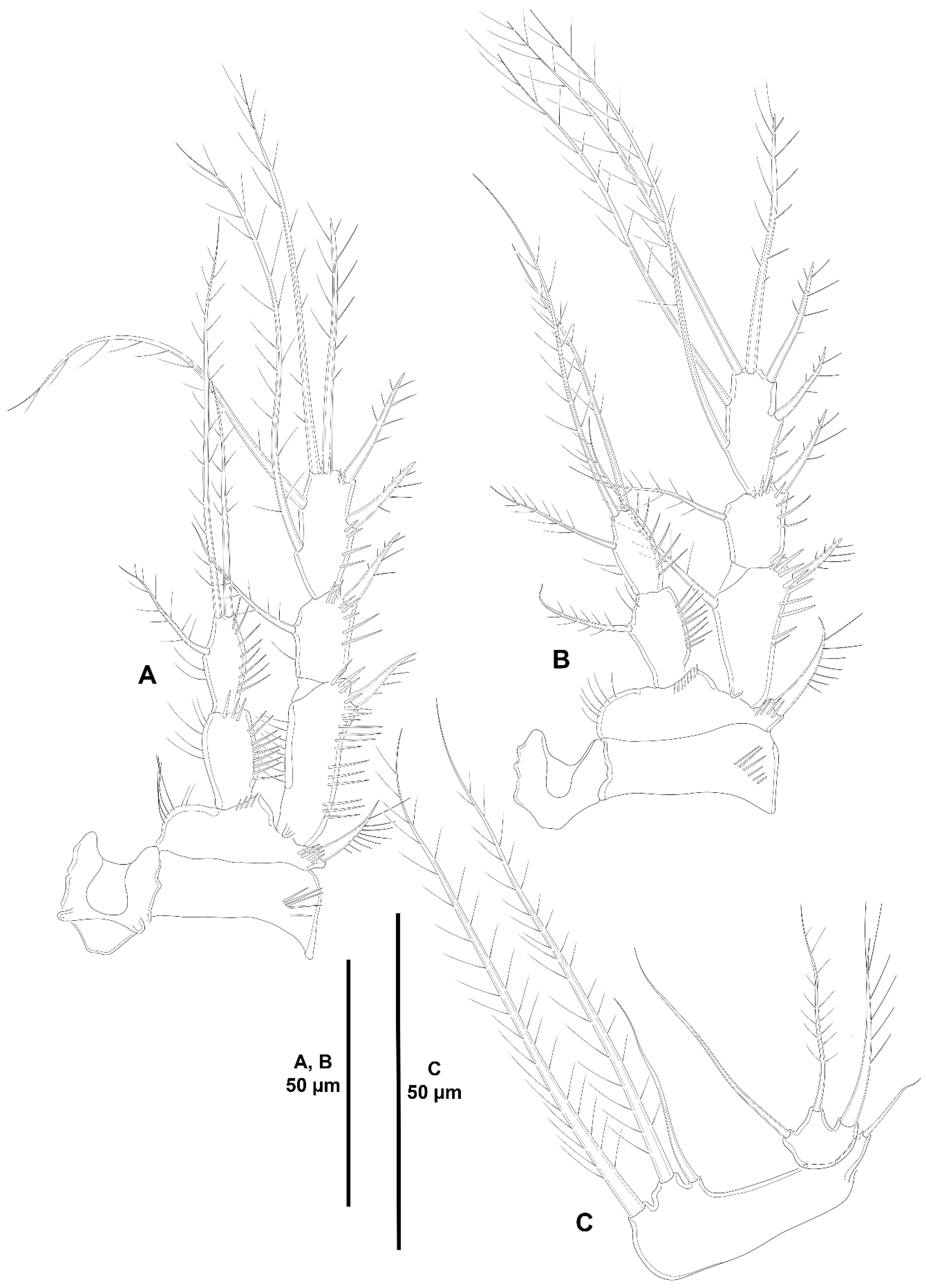 Diversity 15 00363 g030