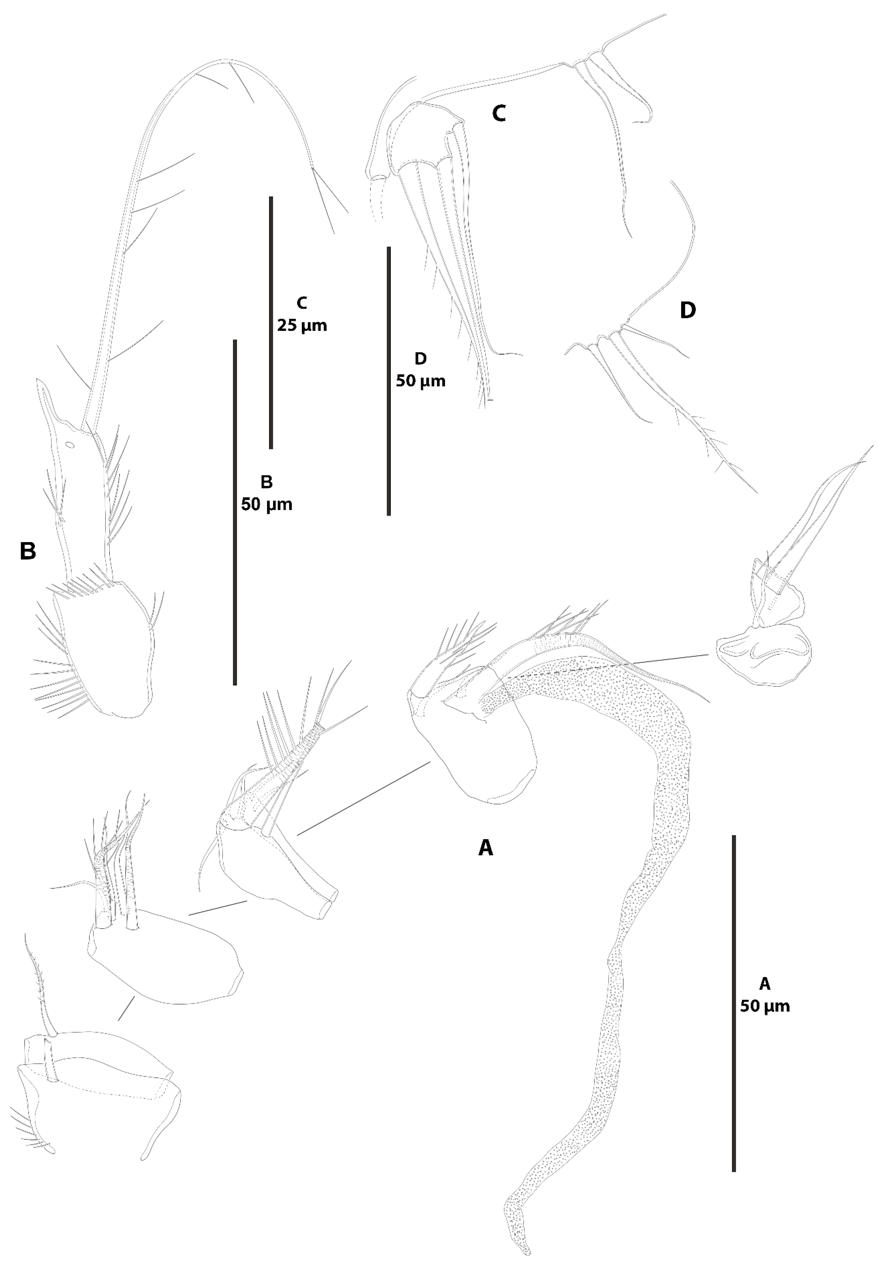 Diversity 15 00363 g031