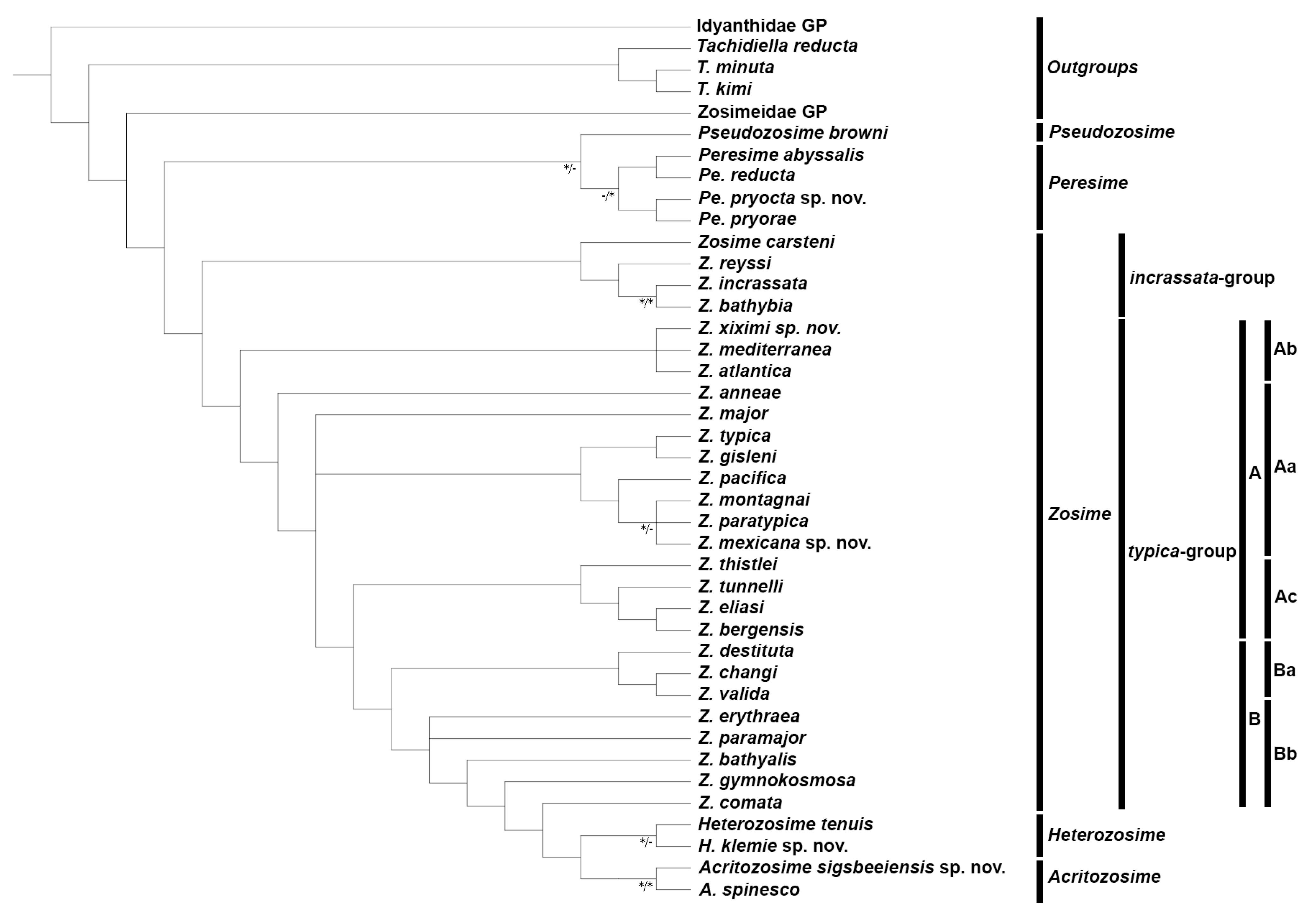 Diversity 15 00363 g032