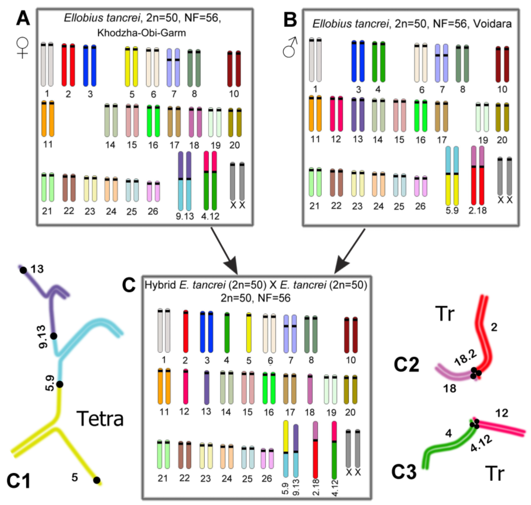 Diversity 15 00364 g001 Diversity 15 00364 g001
