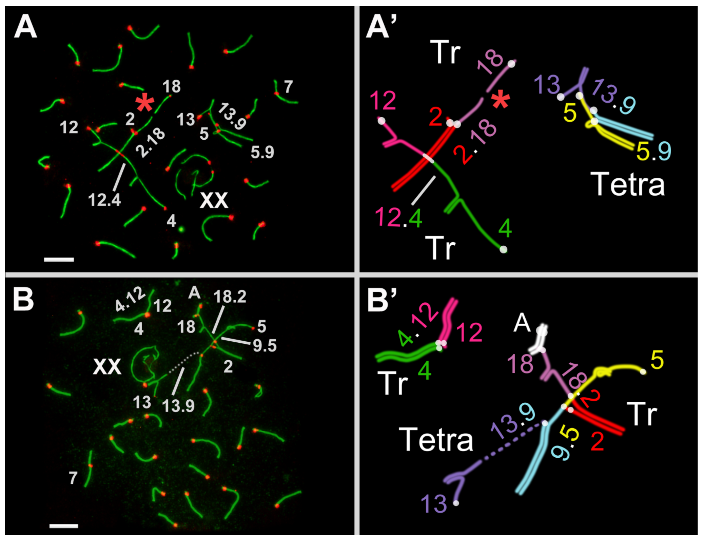 Diversity 15 00364 g002 Diversity 15 00364 g002