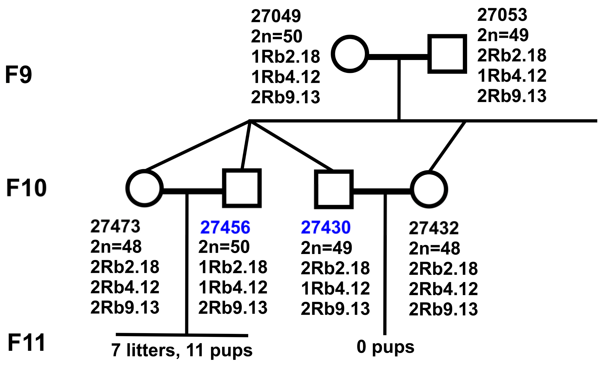 Diversity 15 00364 g003 Diversity 15 00364 g003