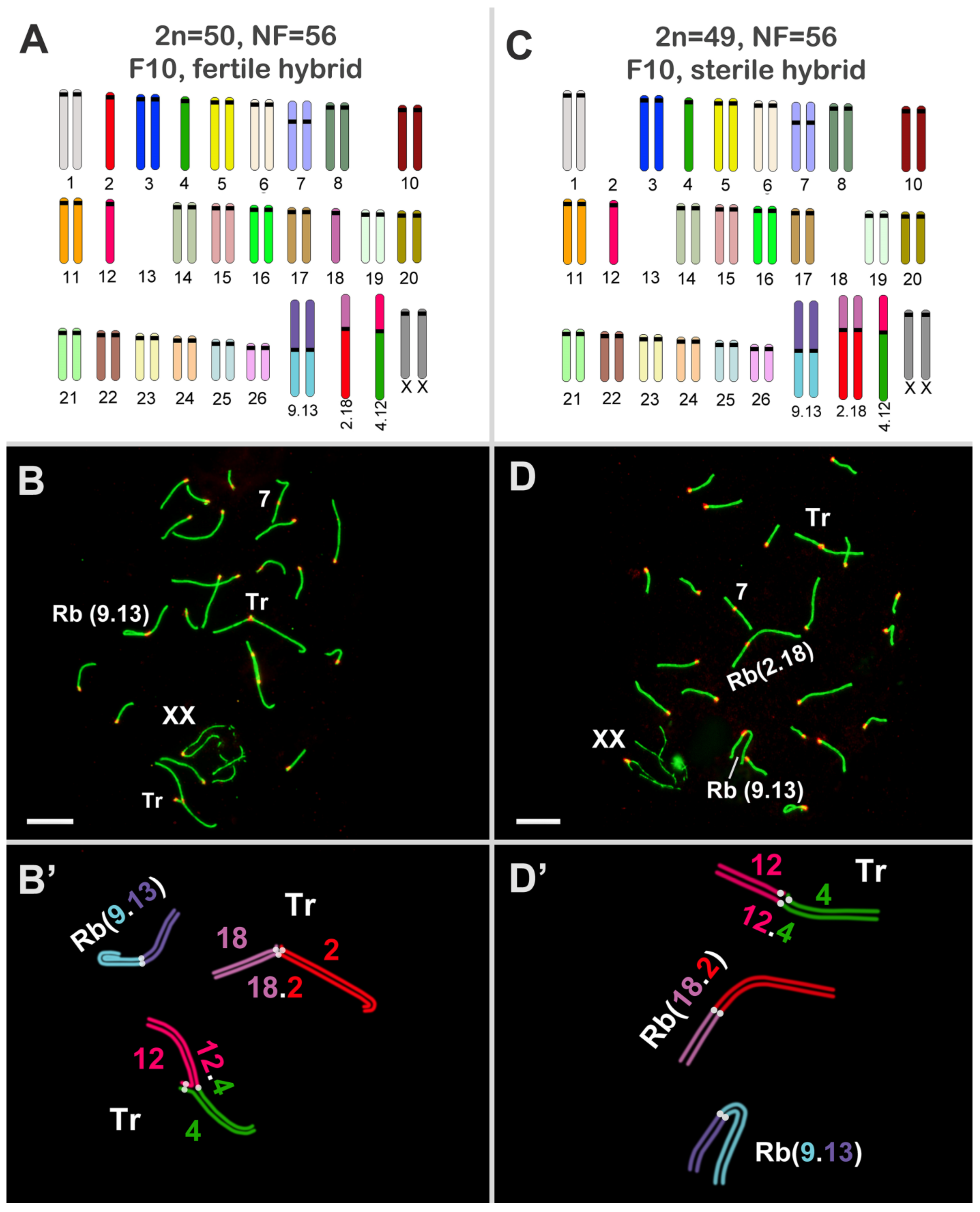 Diversity 15 00364 g004 Diversity 15 00364 g004