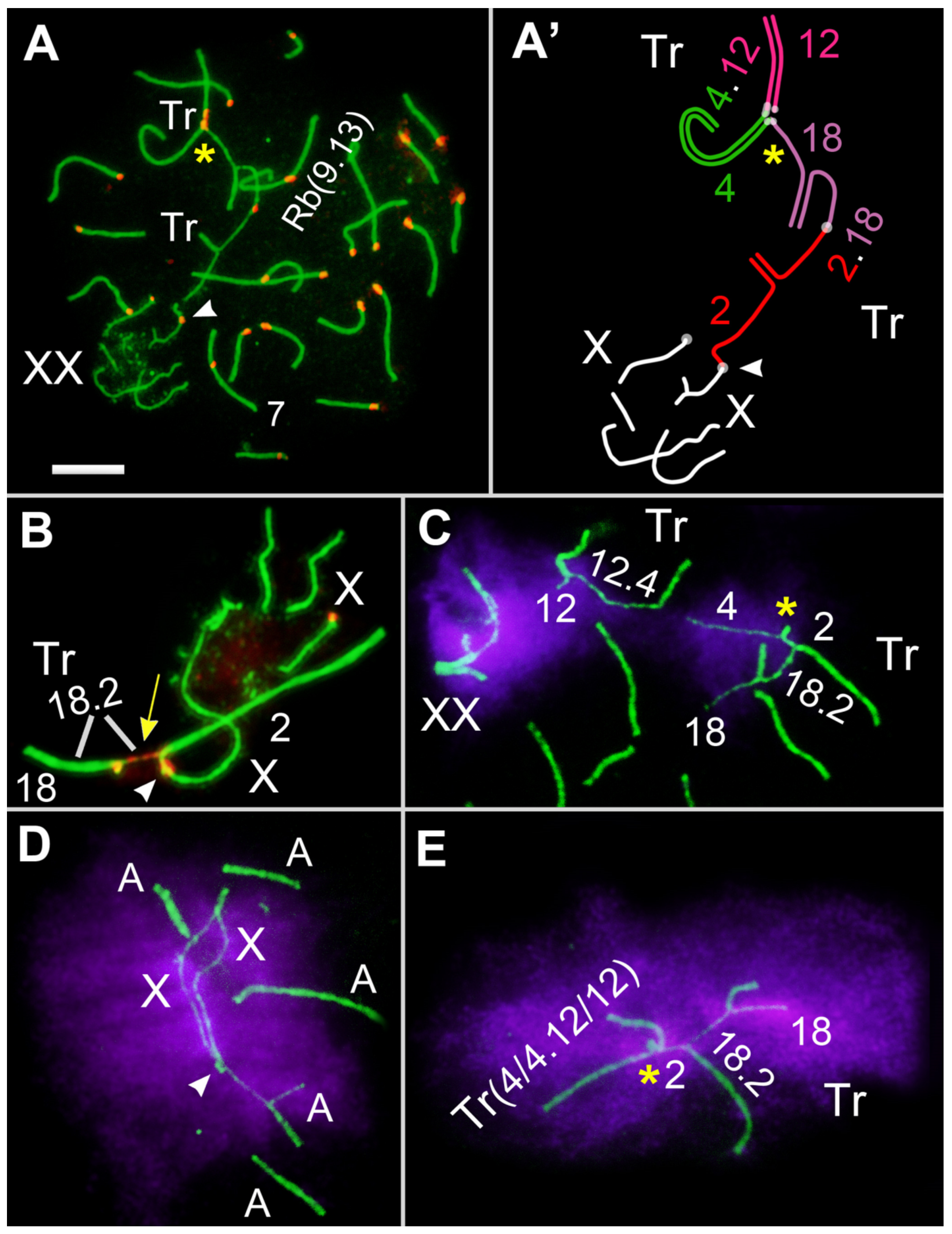 Diversity 15 00364 g006 Diversity 15 00364 g006