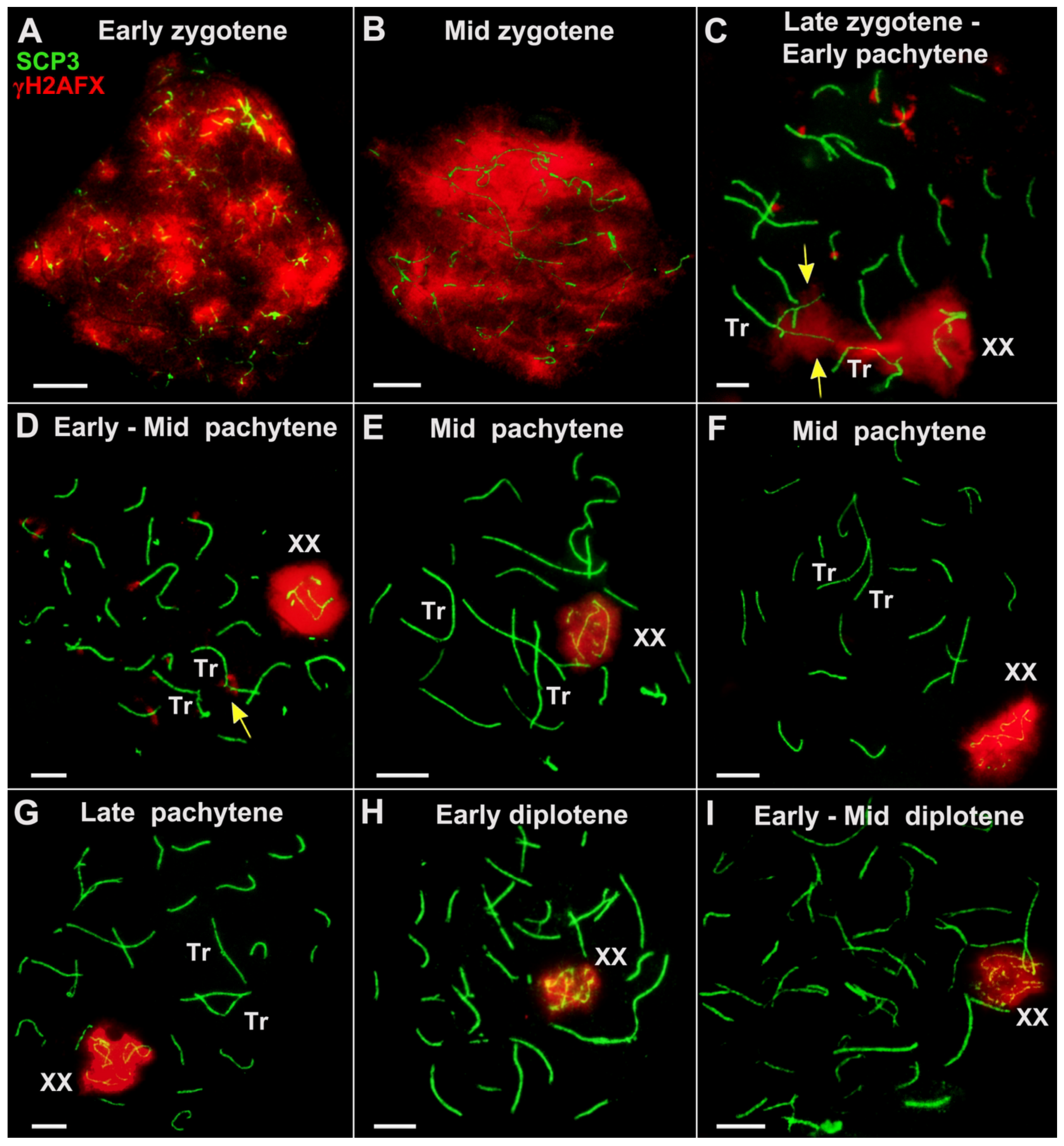 Diversity 15 00364 g008 Diversity 15 00364 g008
