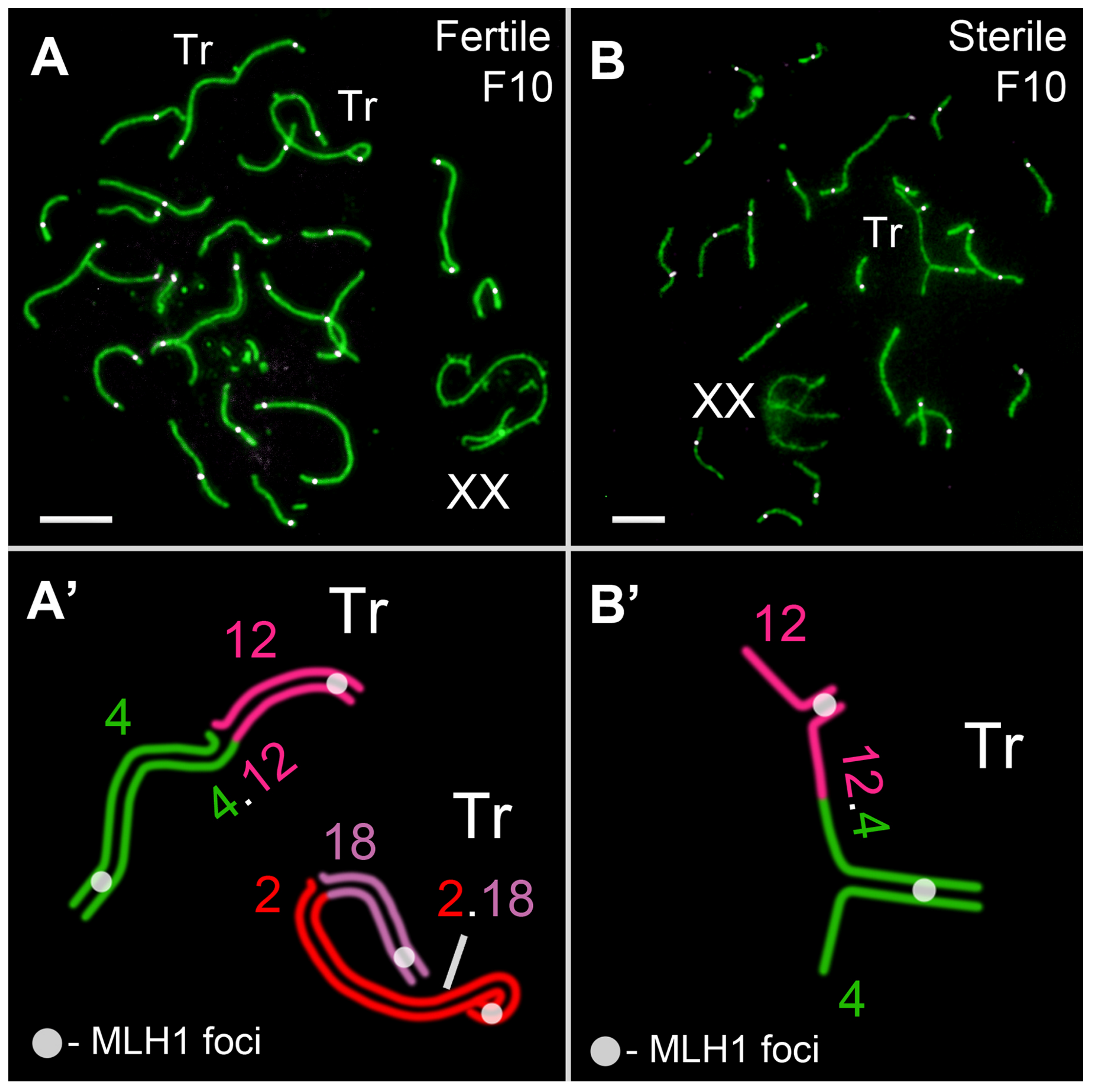 Diversity 15 00364 g009 Diversity 15 00364 g009
