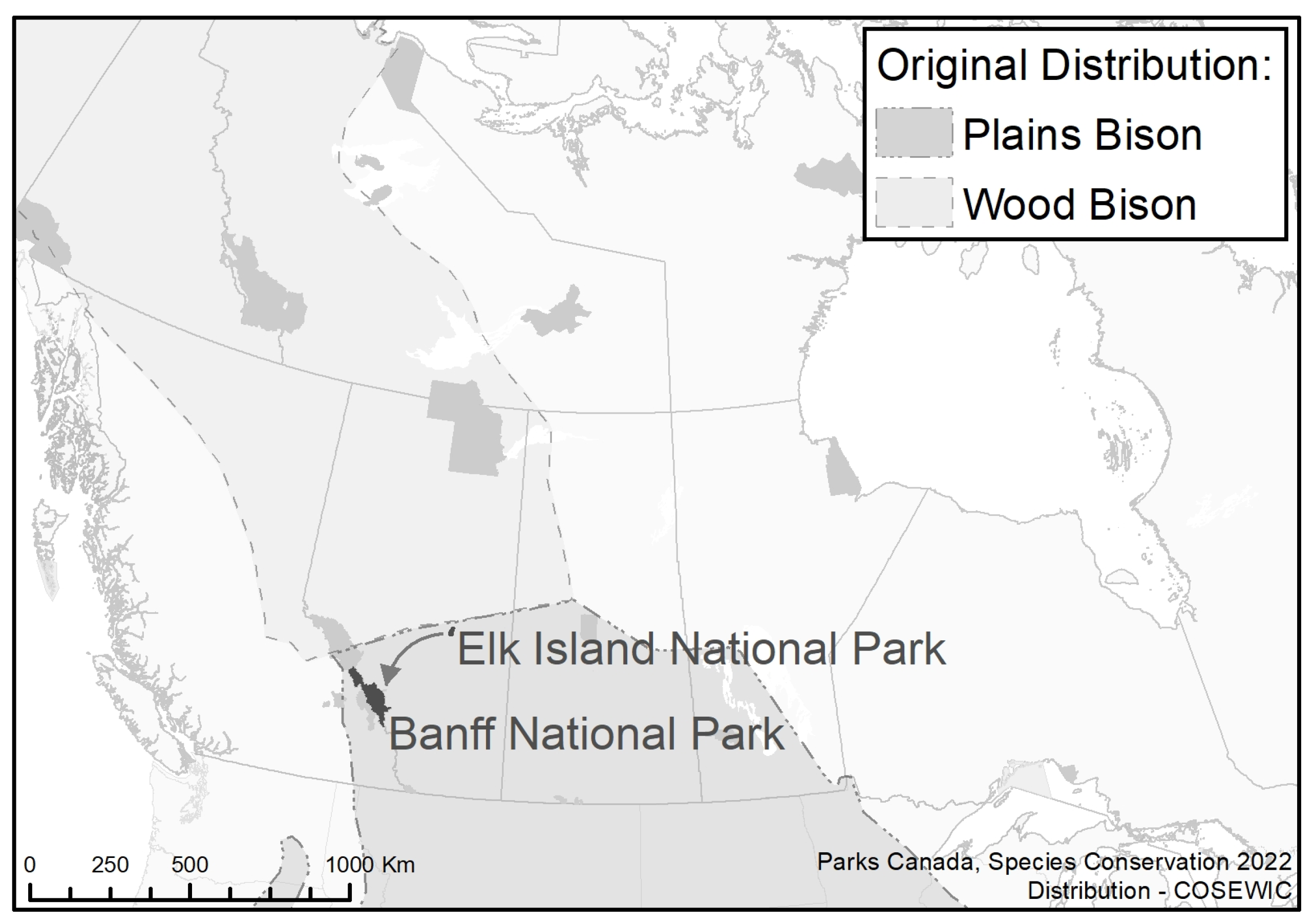When Theory Meets Practice: Balancing Genetic Diversity and Behaviour When  Choosing Founders for a Recently Reintroduced Bison (Bison bison) Herd in  Banff National Park, Canada